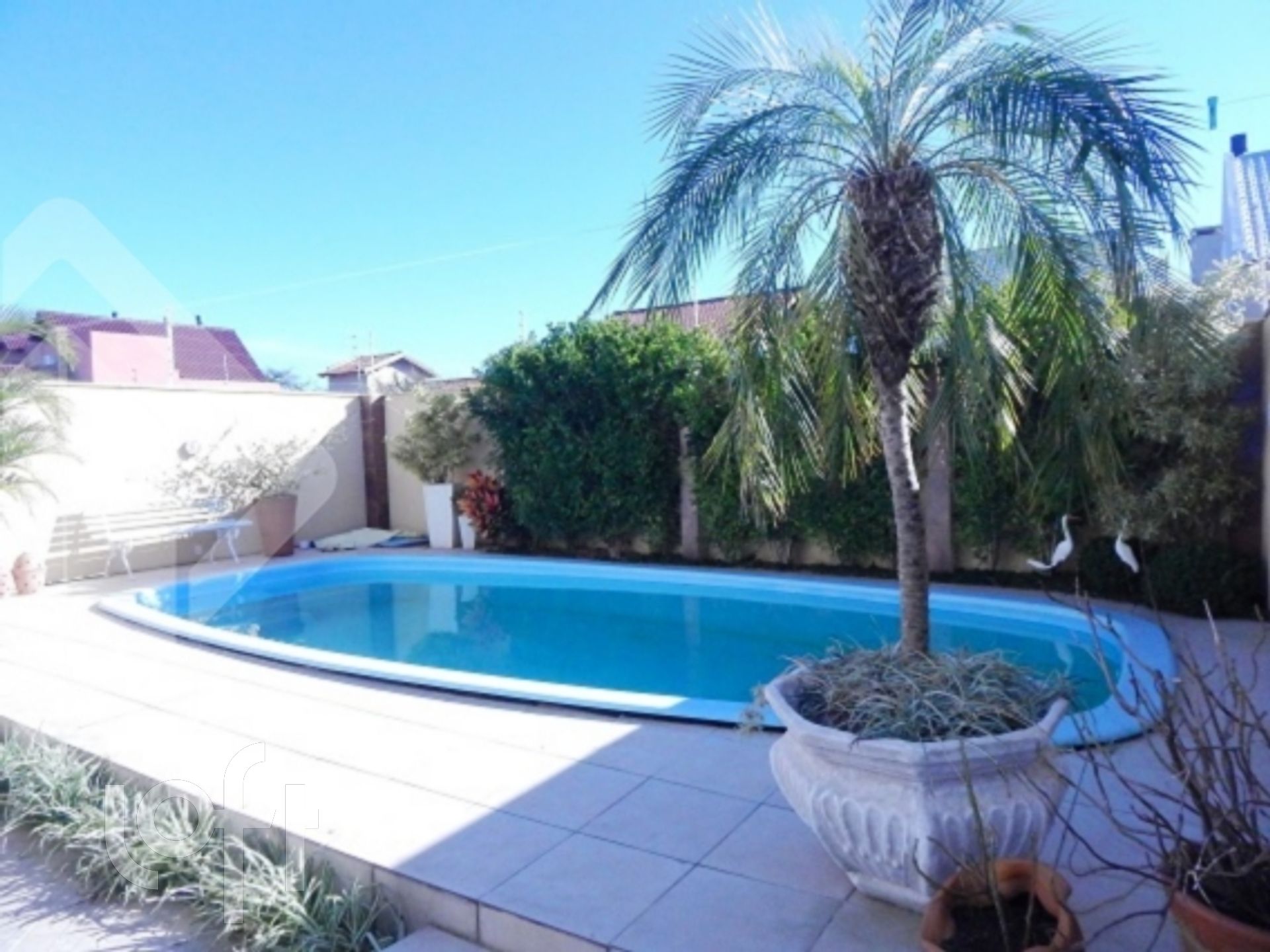 Imagem da propriedade 4