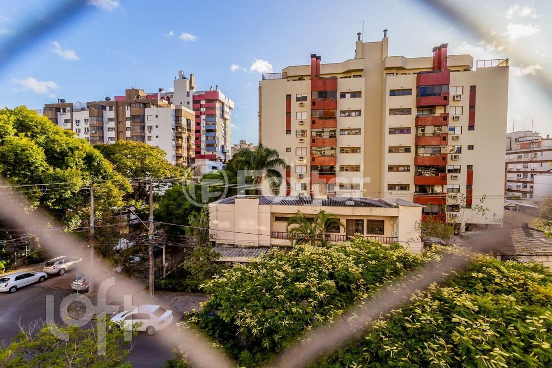 Imagem da propriedade 19