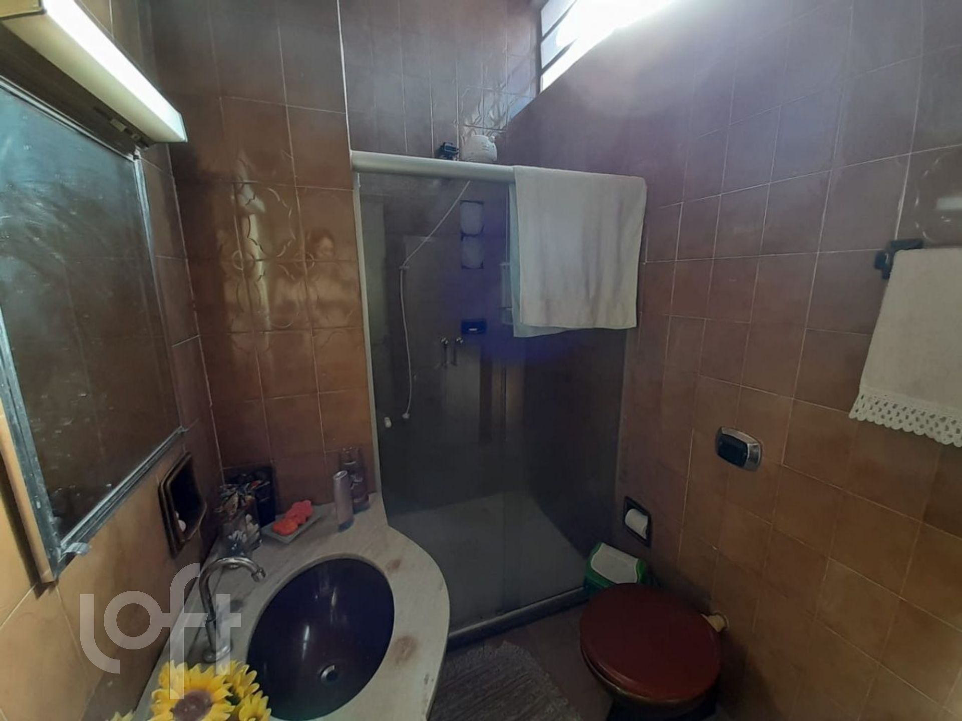 Imagem da propriedade 12