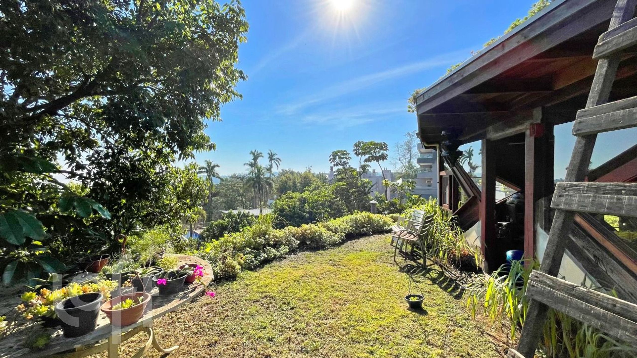 Imagem da propriedade 11