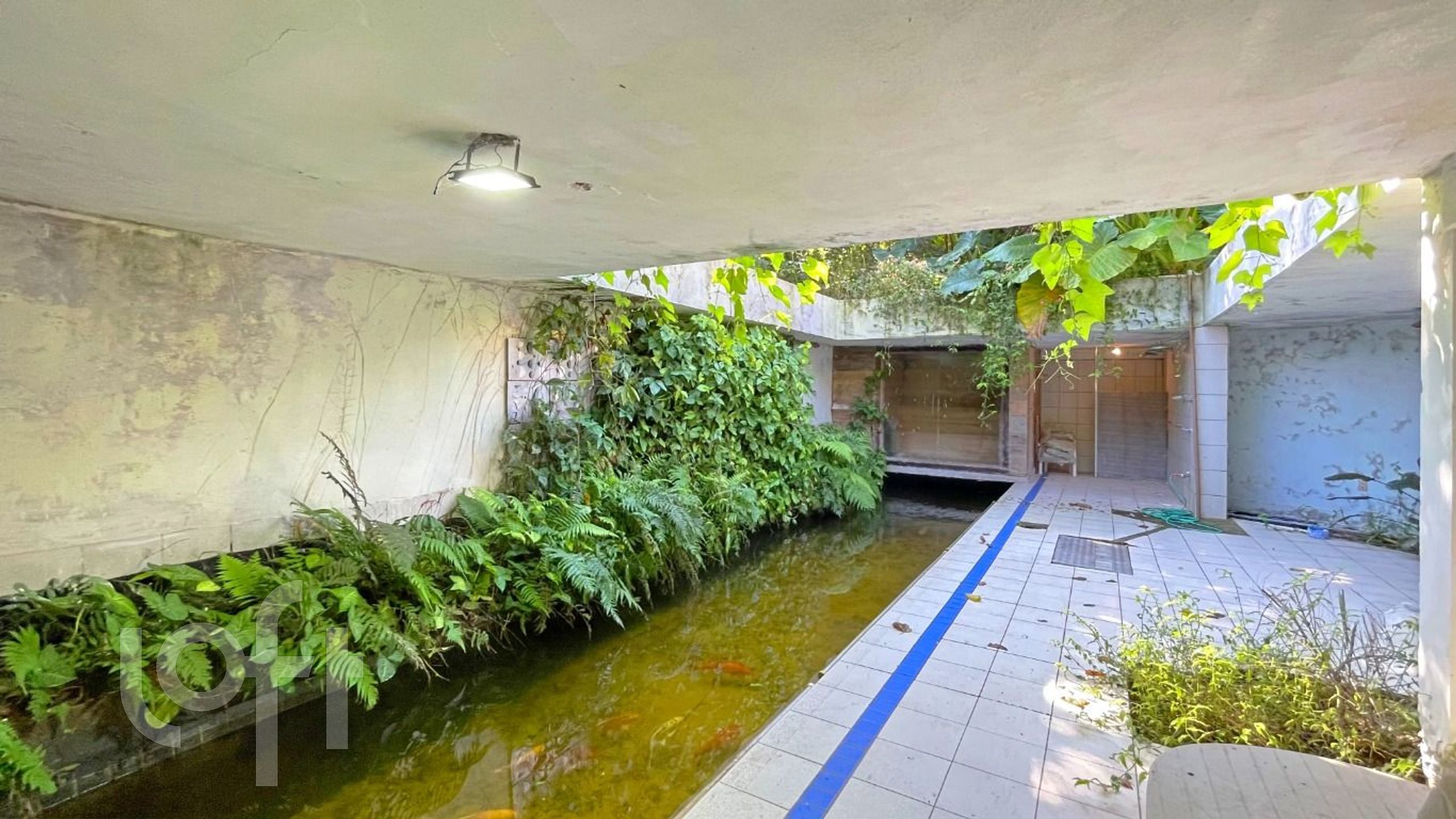 Imagem da propriedade 53