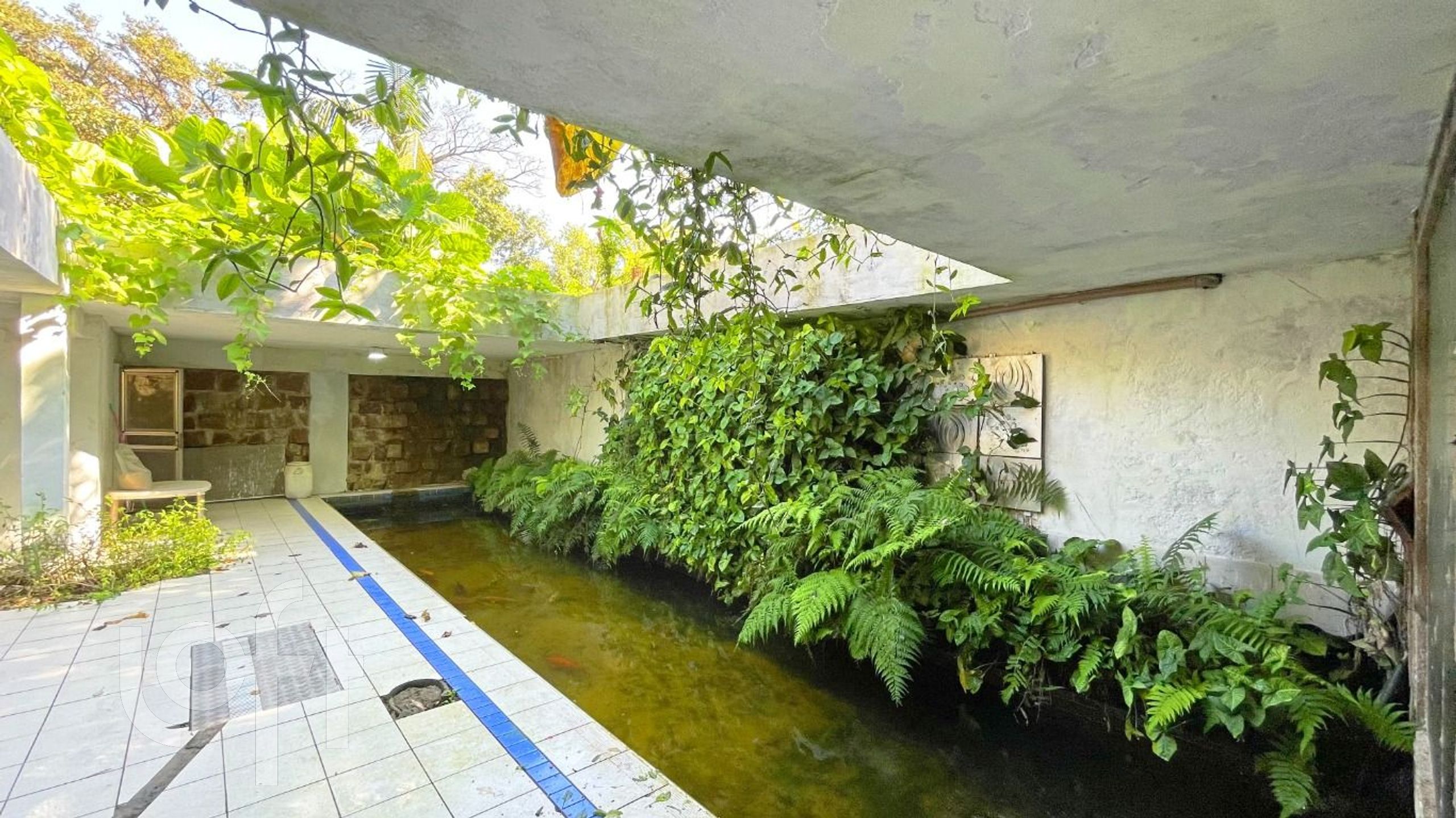 Imagem da propriedade 55