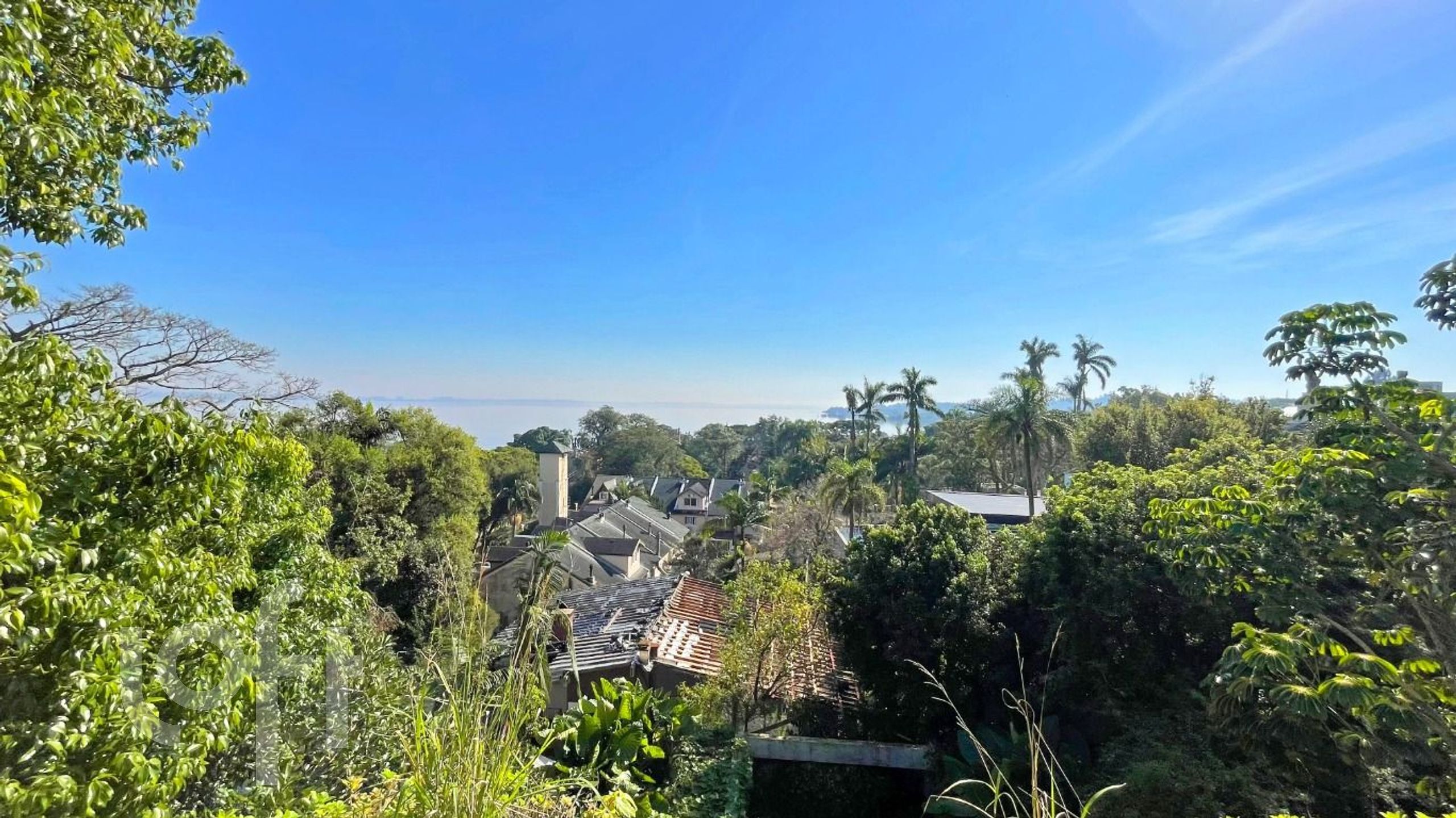 Imagem da propriedade 13