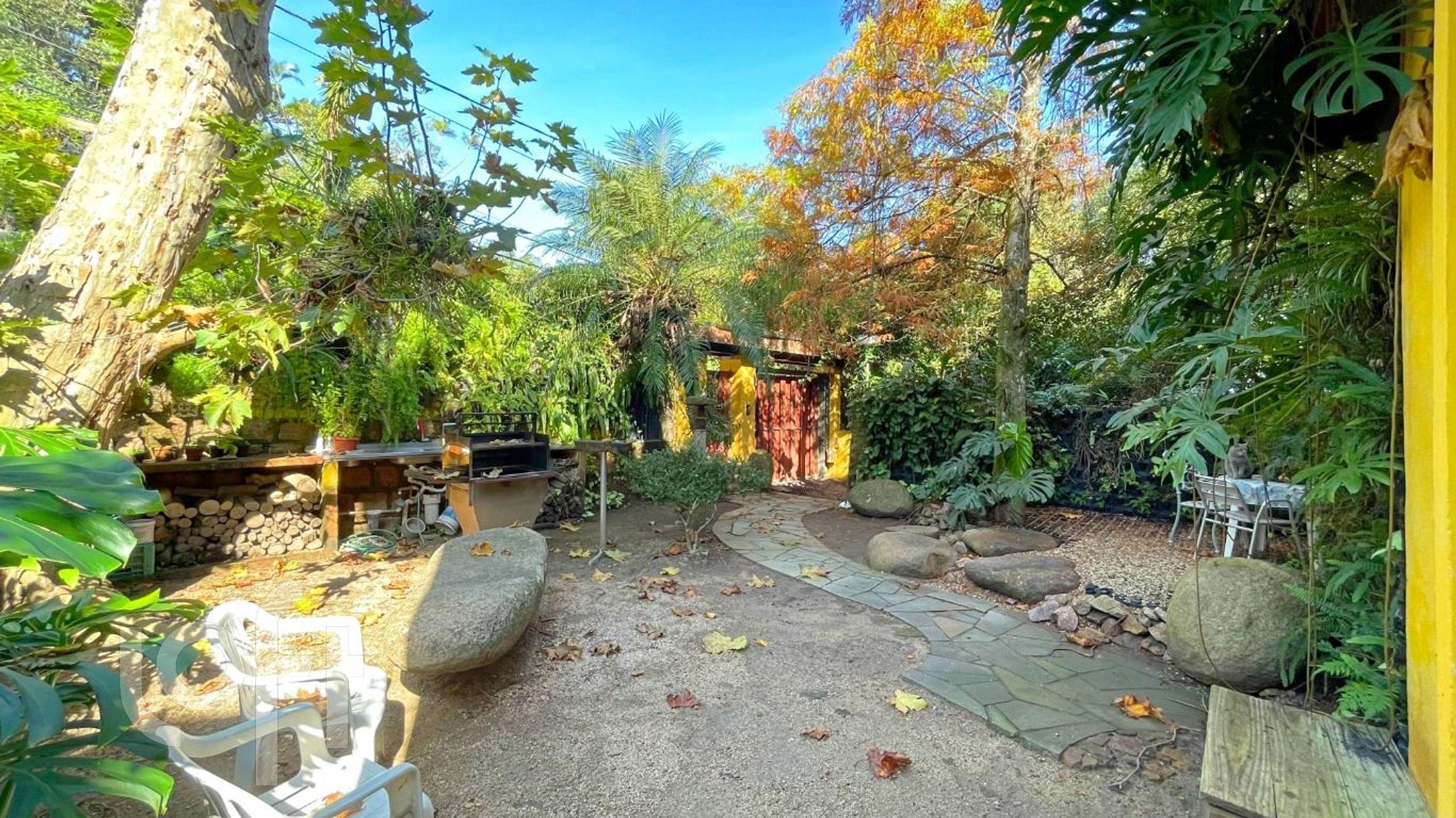 Imagem da propriedade 61