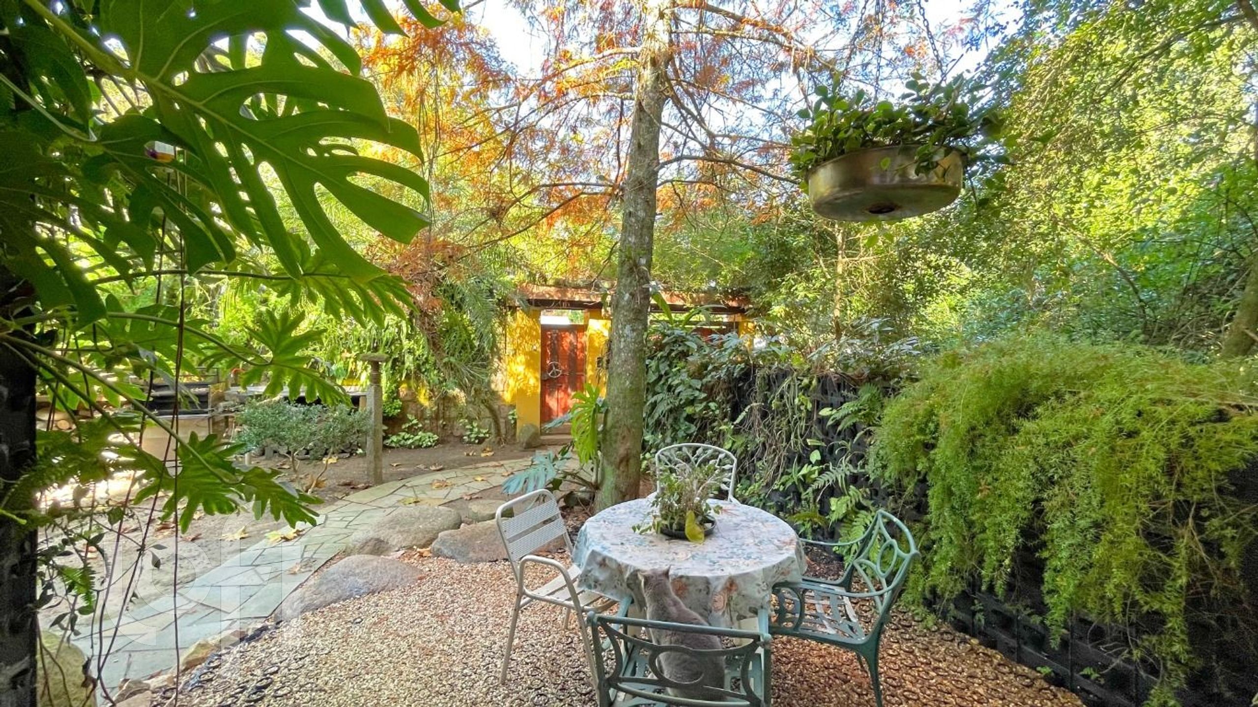 Imagem da propriedade 59