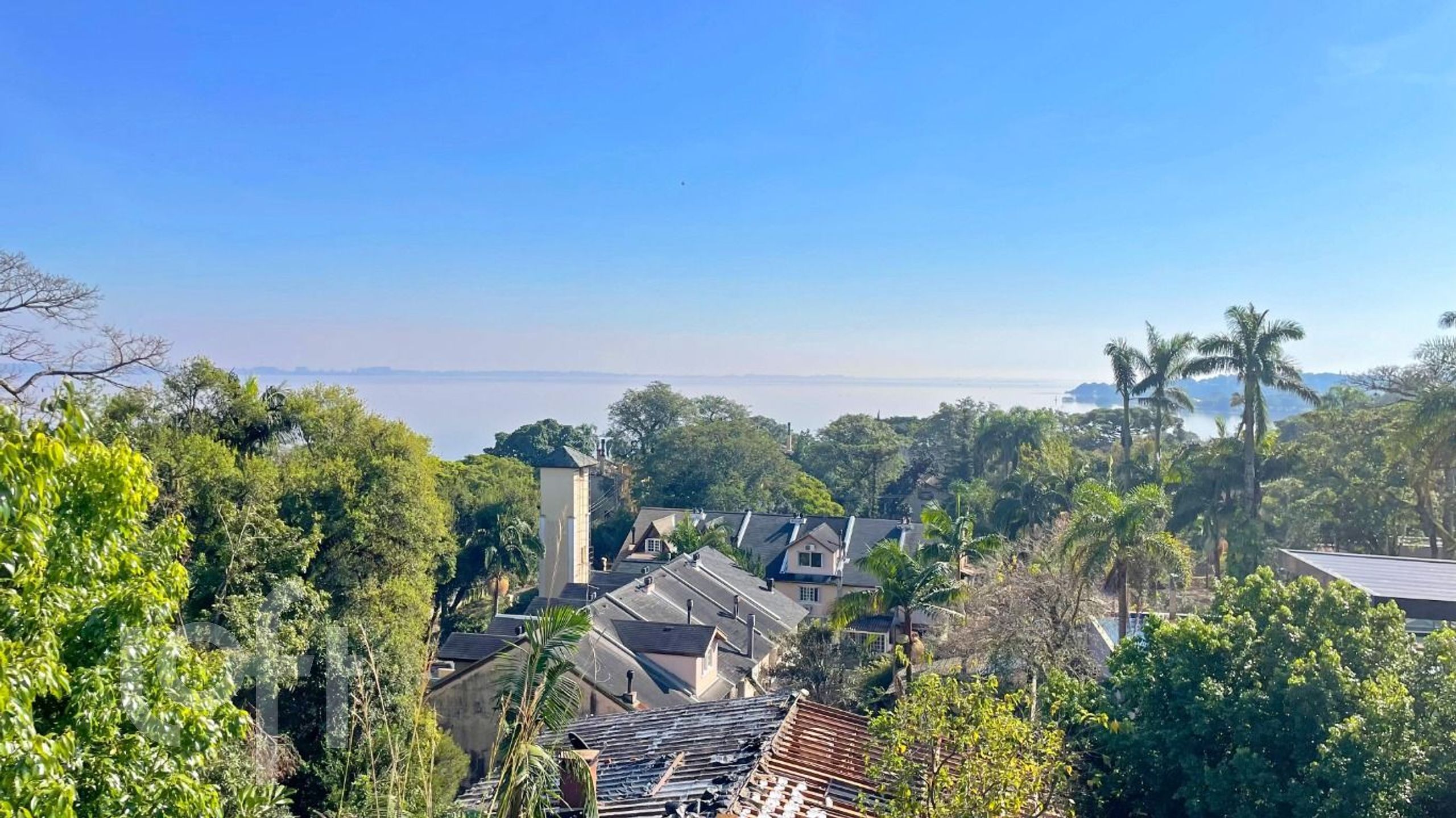 Imagem da propriedade 15