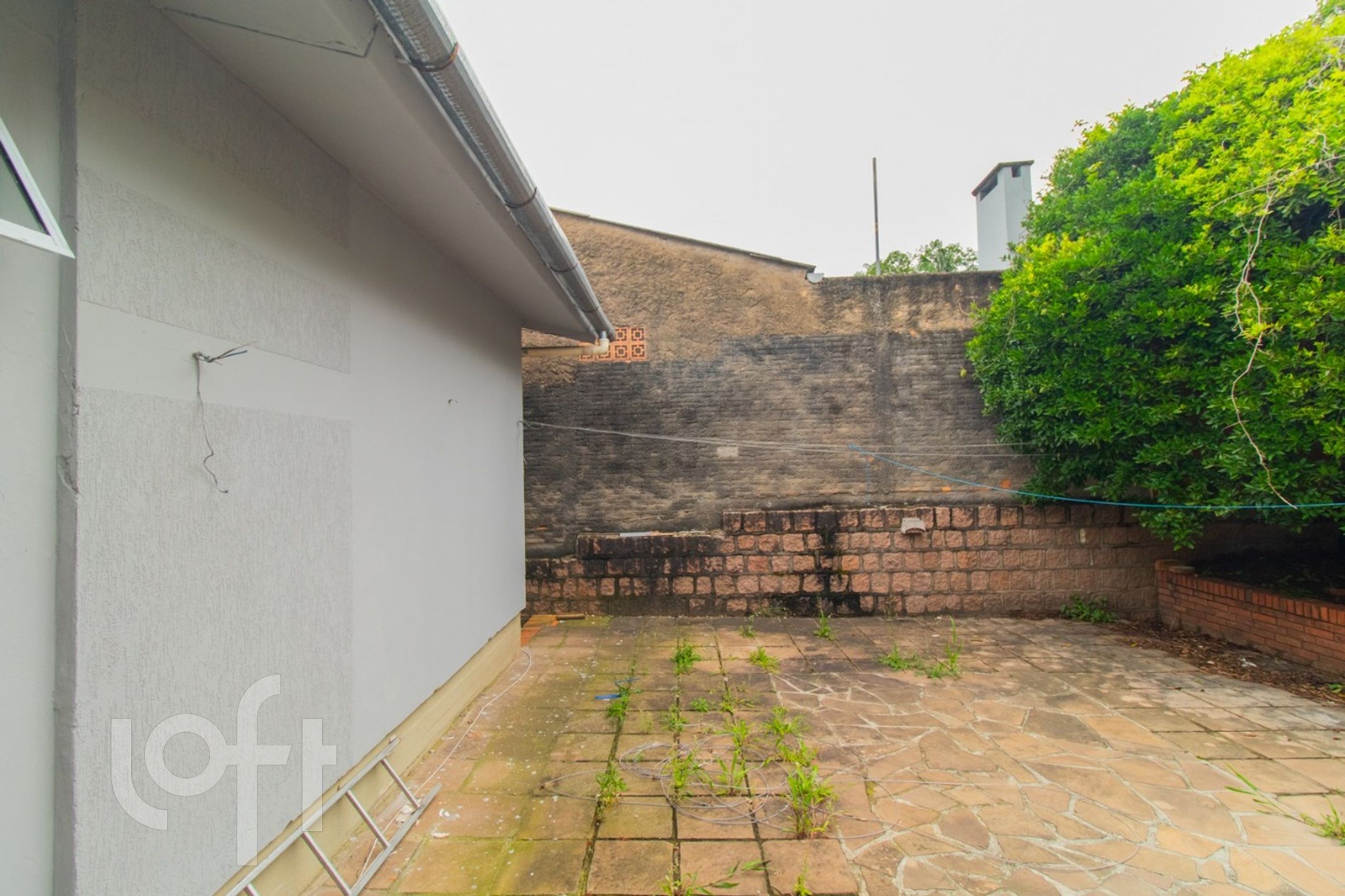 Imagem da propriedade 41