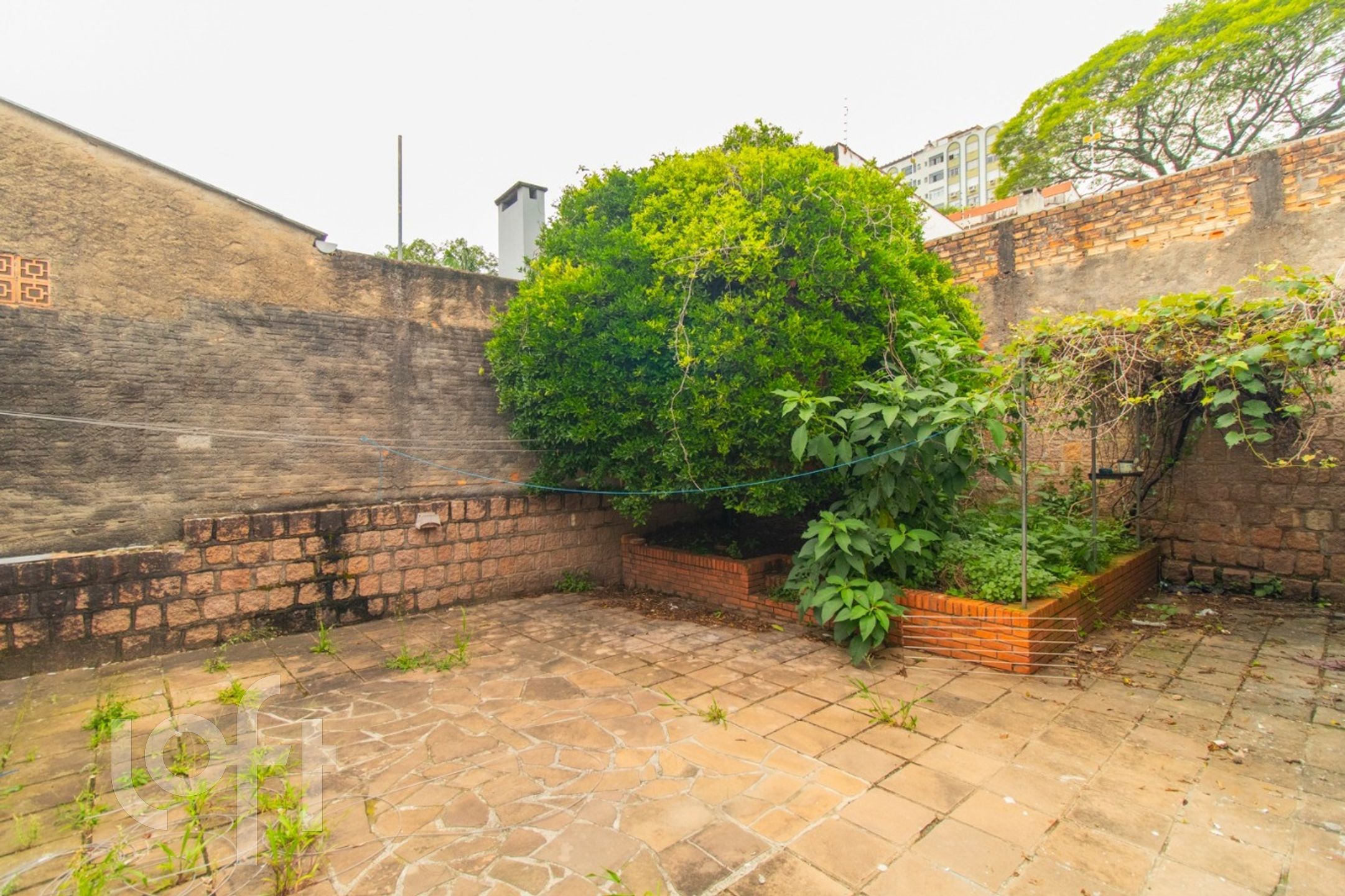 Imagem da propriedade 42