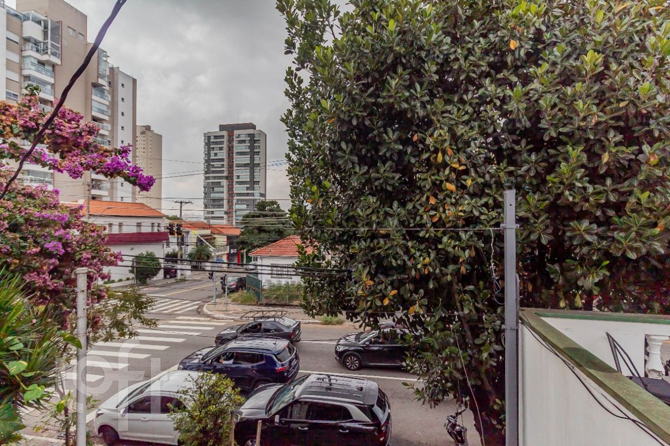 Imagem da propriedade 31