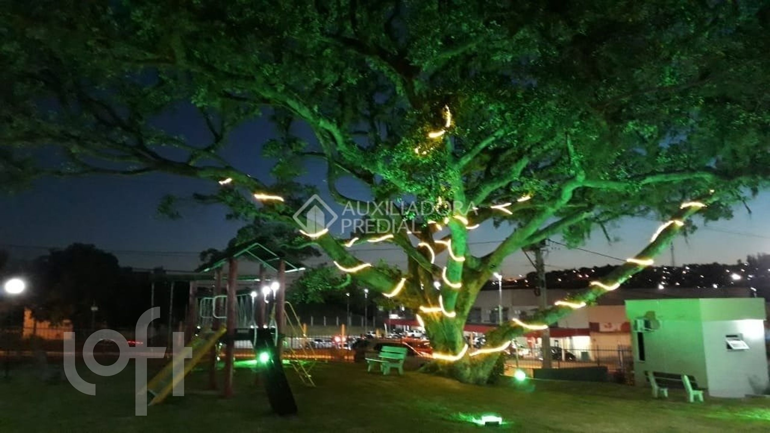 Imagem da propriedade 27