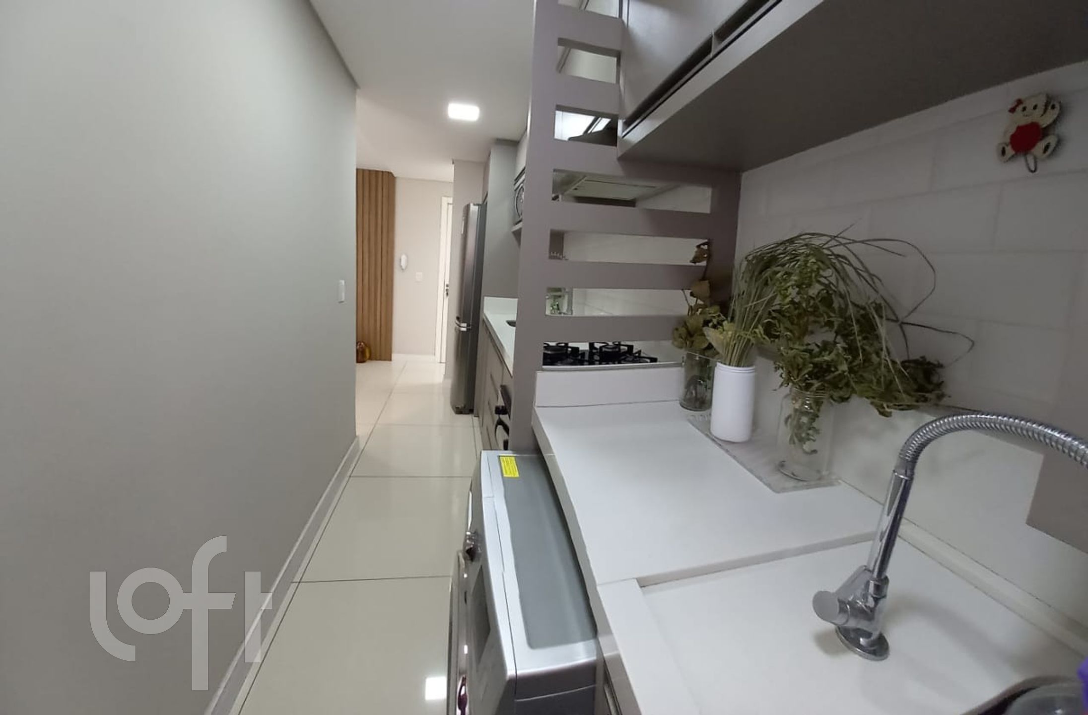 Imagem da propriedade 18