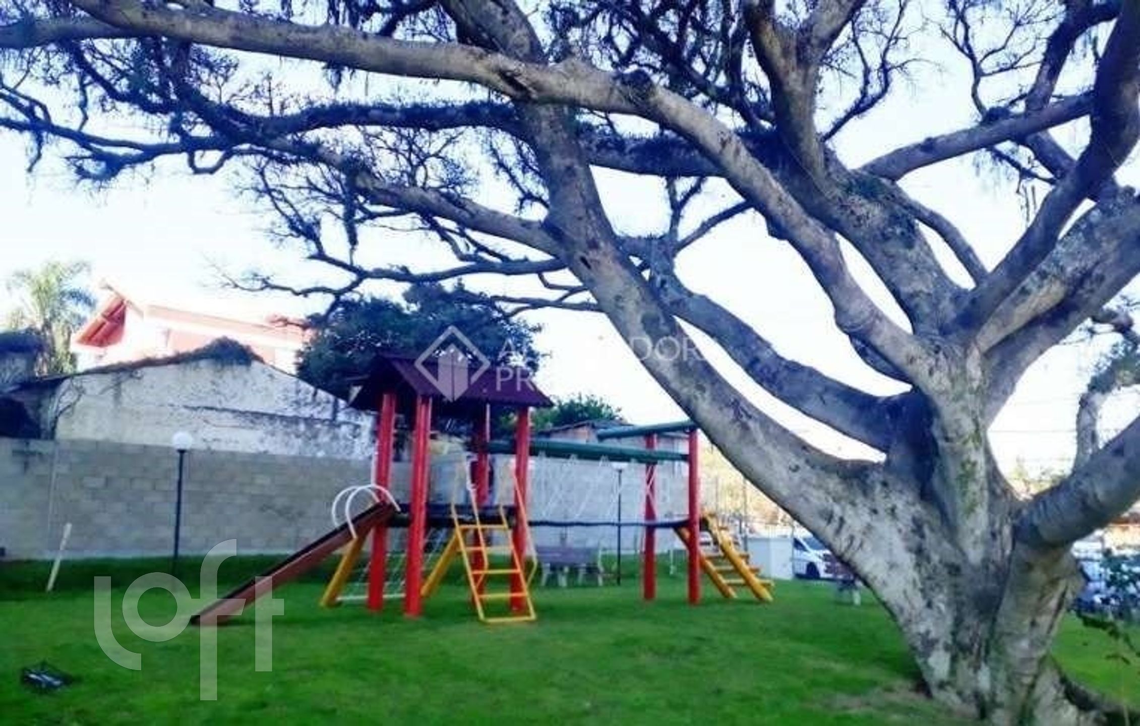 Imagem da propriedade 29