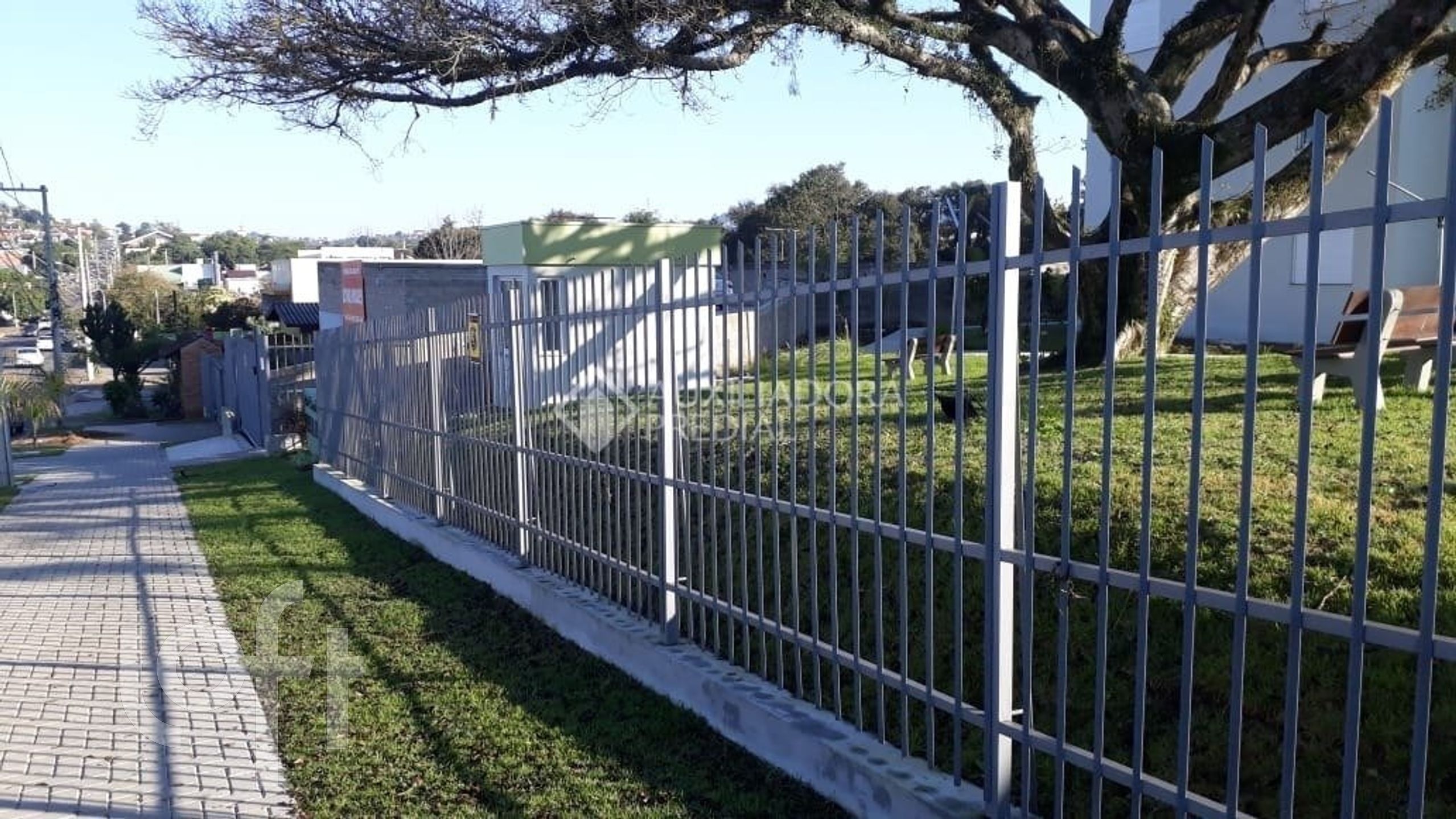 Imagem da propriedade 31