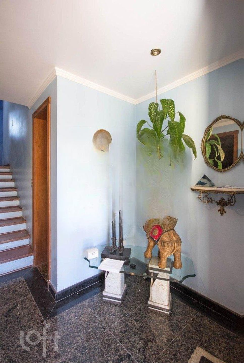 Imagem da propriedade 3