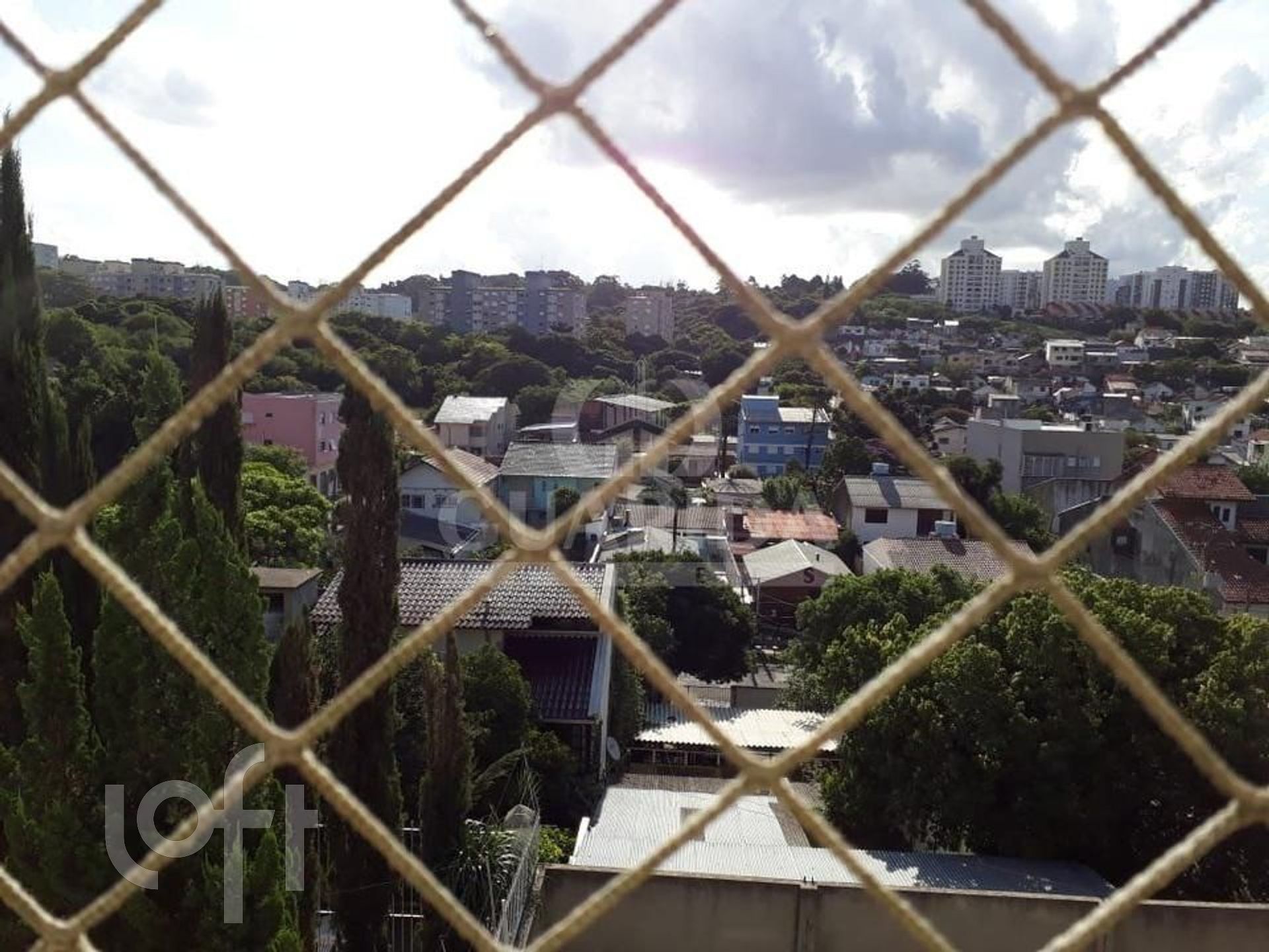 Imagem da propriedade 21