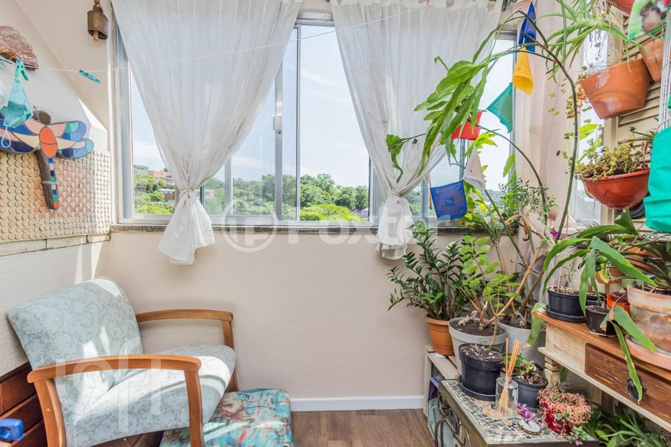 Imagem da propriedade 5