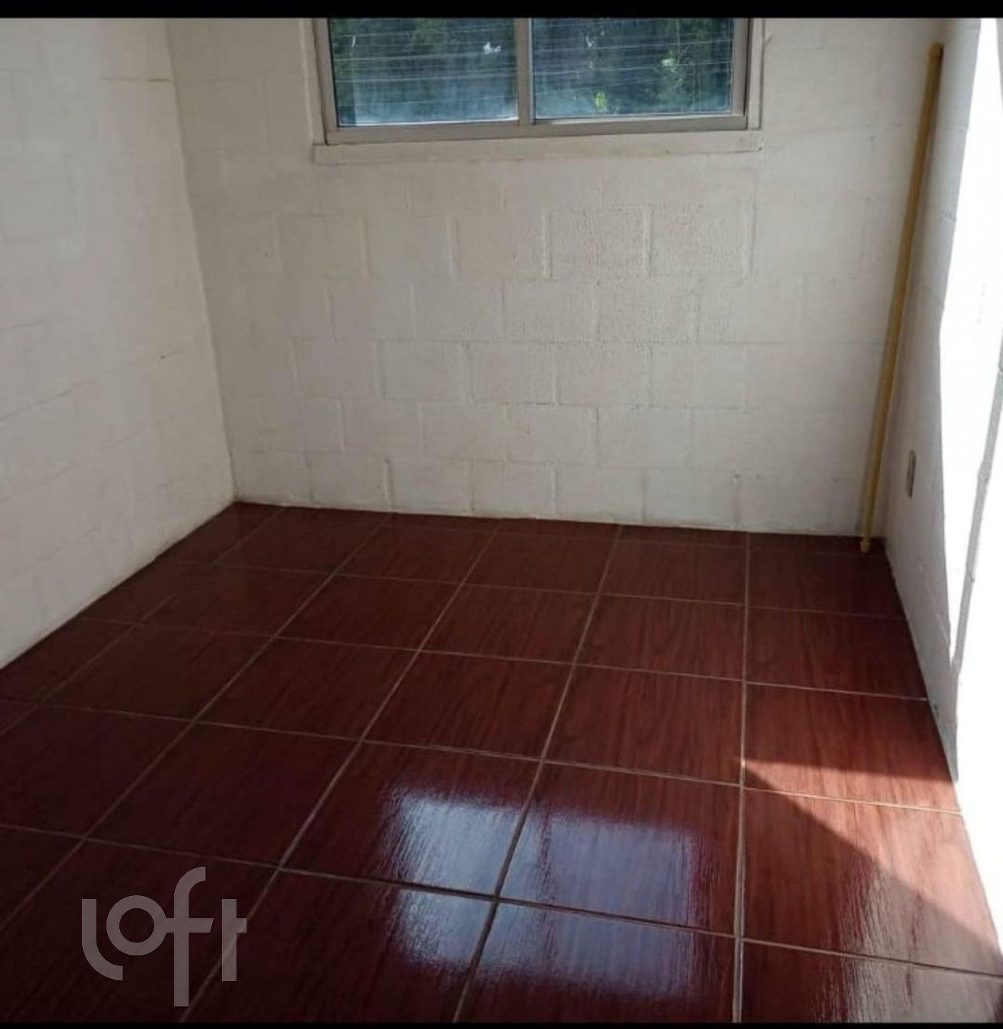 Imagem da propriedade 12