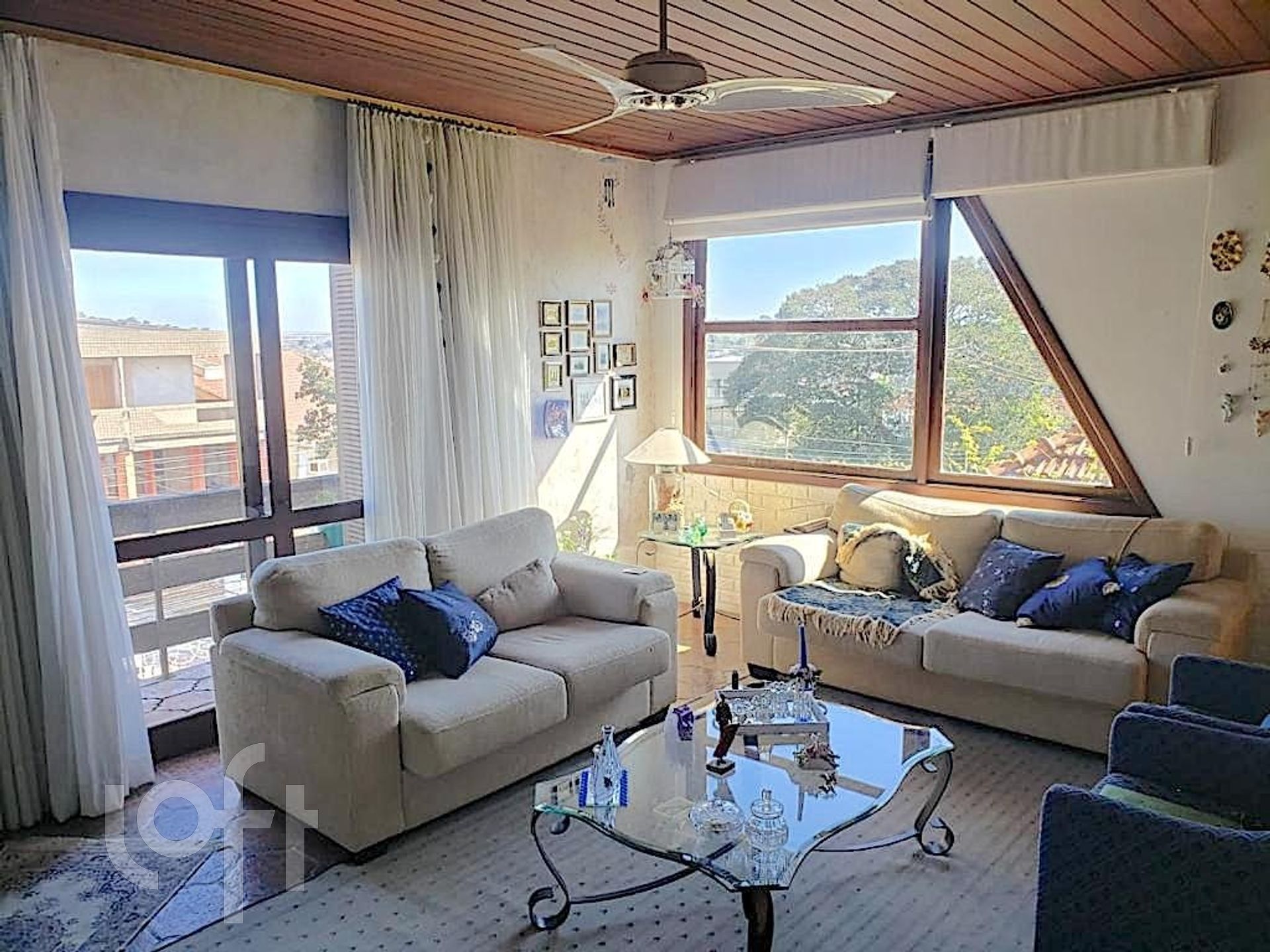 Imagem da propriedade 9