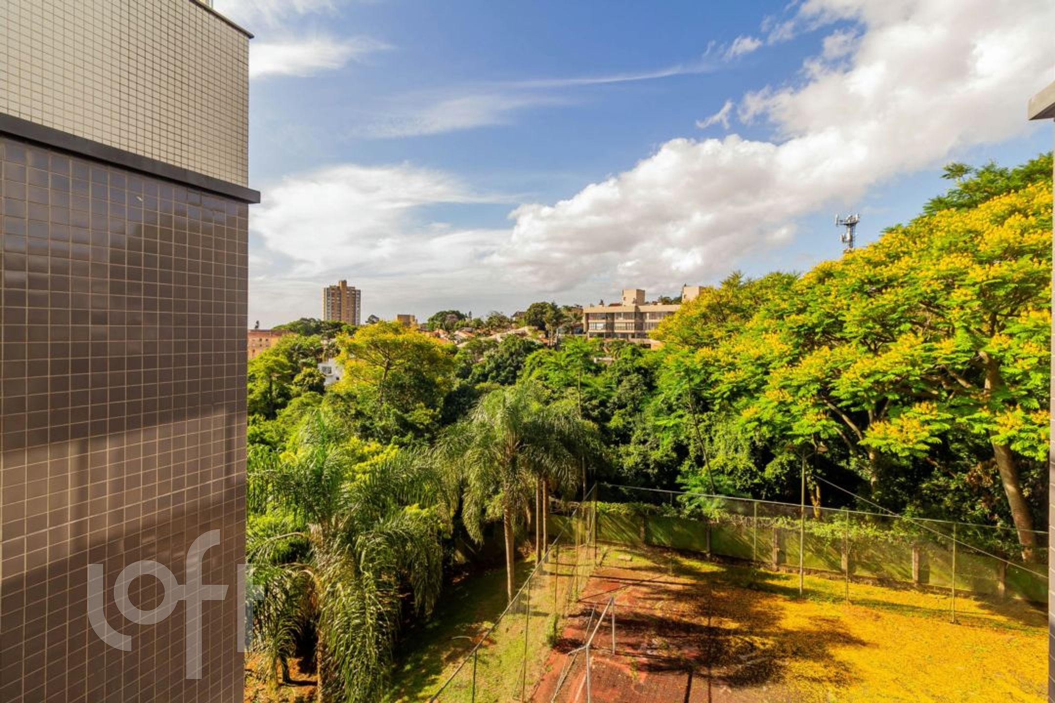 Imagem da propriedade 11