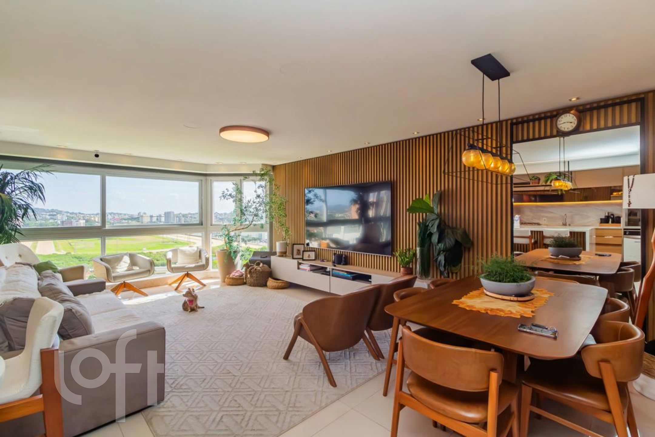 Imagem da propriedade 4