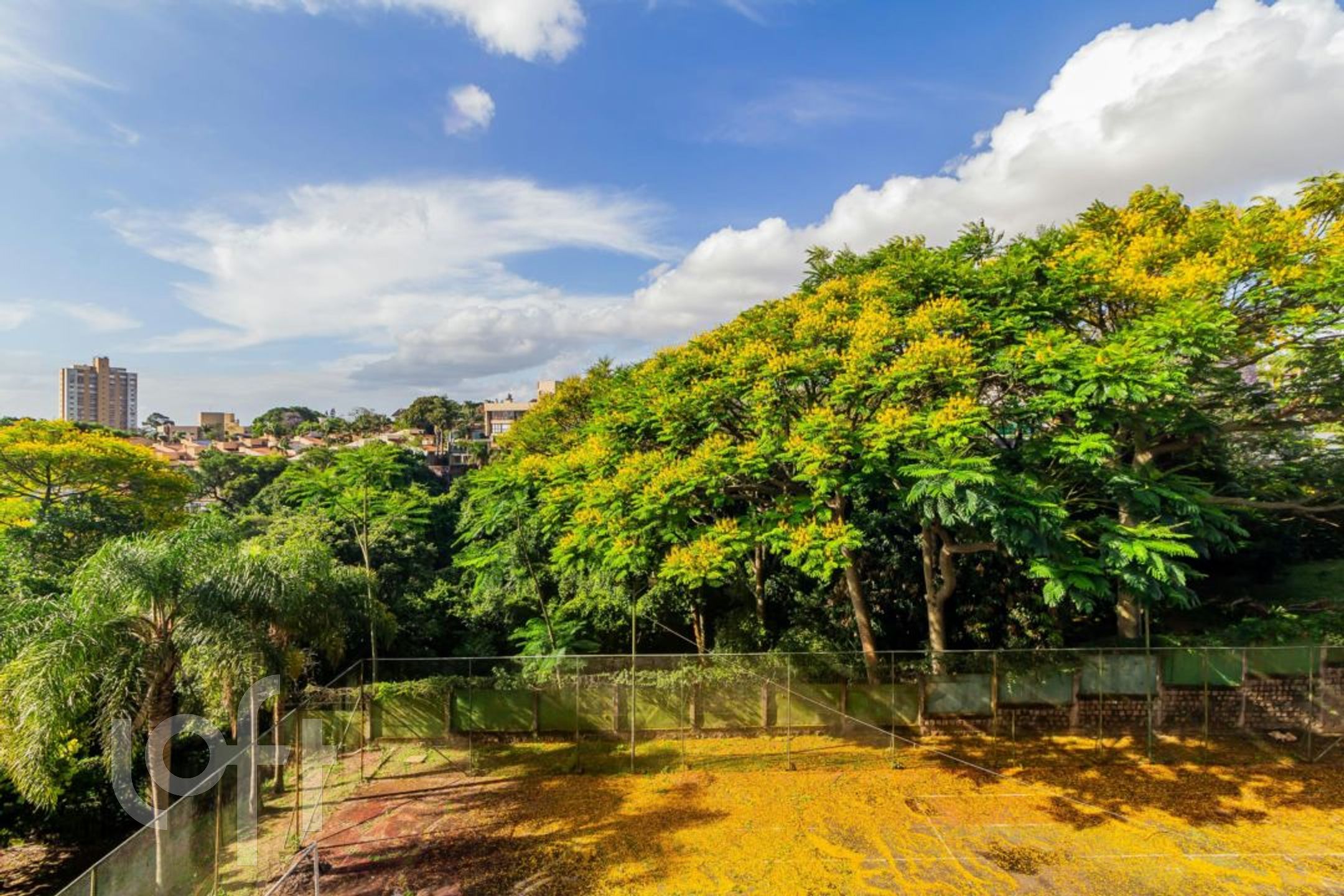 Imagem da propriedade 24