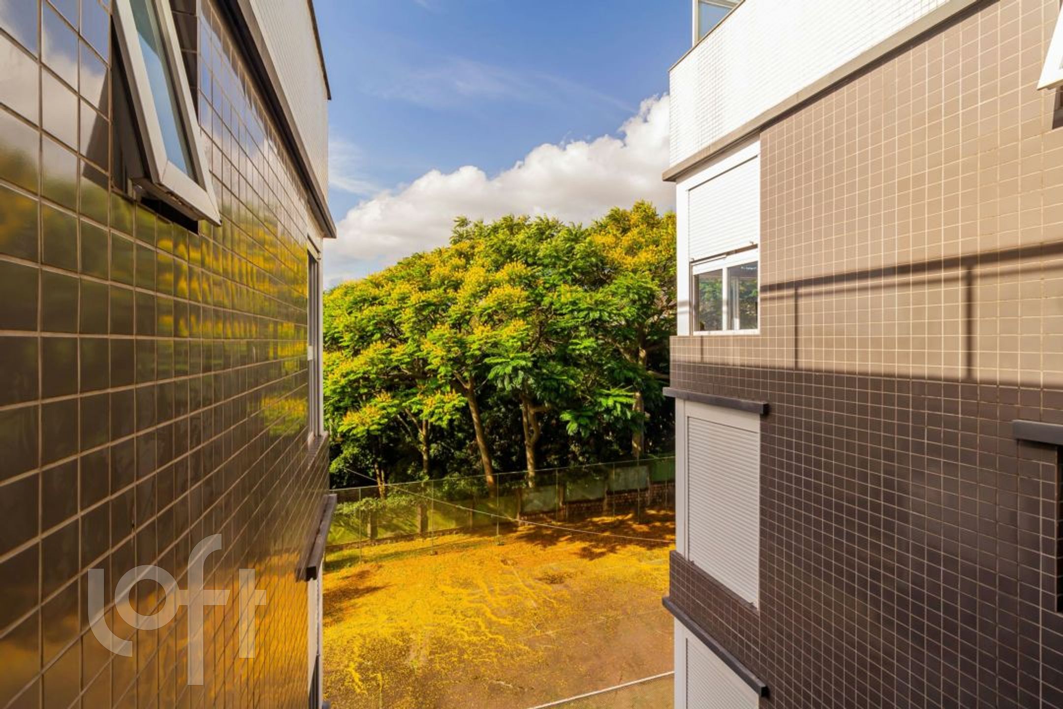 Imagem da propriedade 23