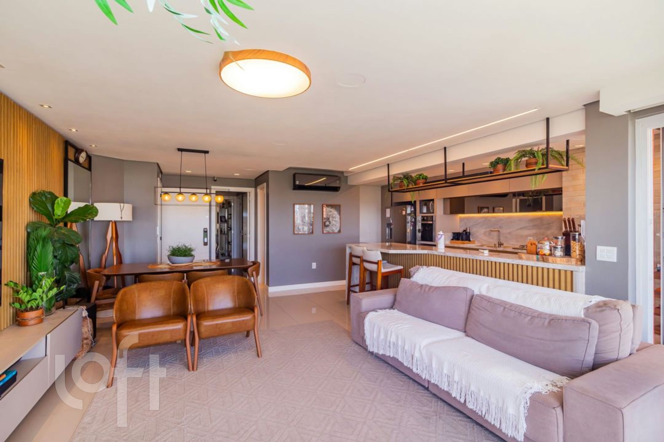 Imagem da propriedade 3