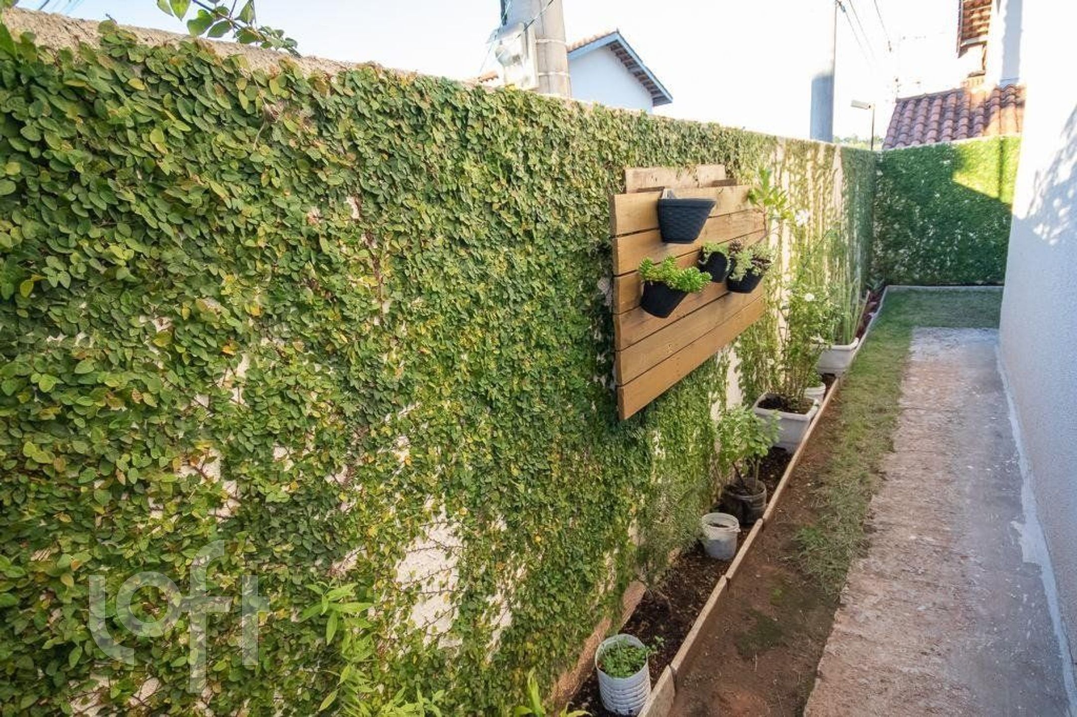 Imagem da propriedade 10