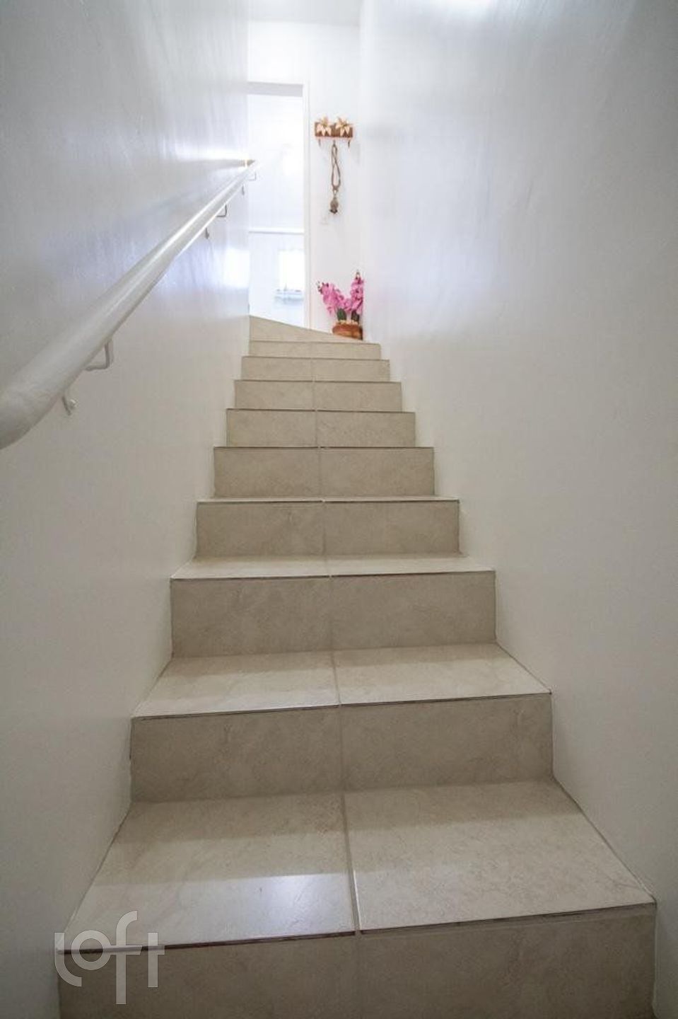 Imagem da propriedade 11