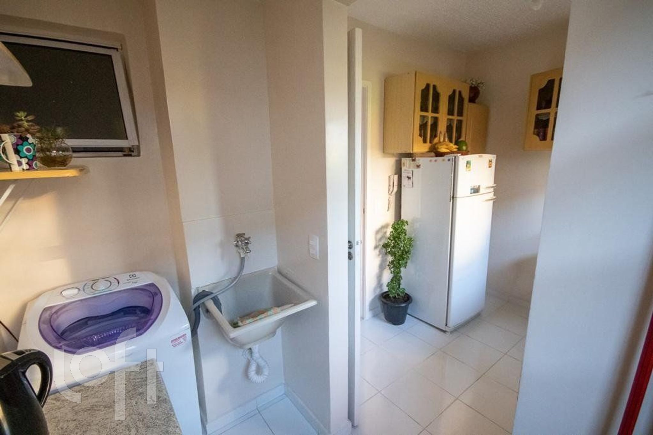 Imagem da propriedade 9