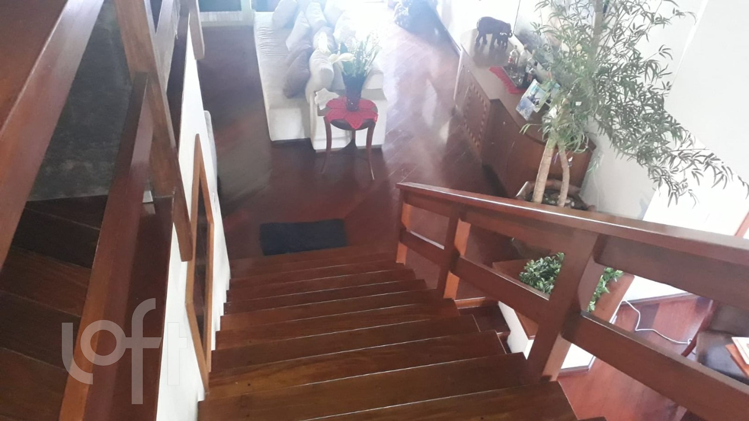 Imagem da propriedade 24