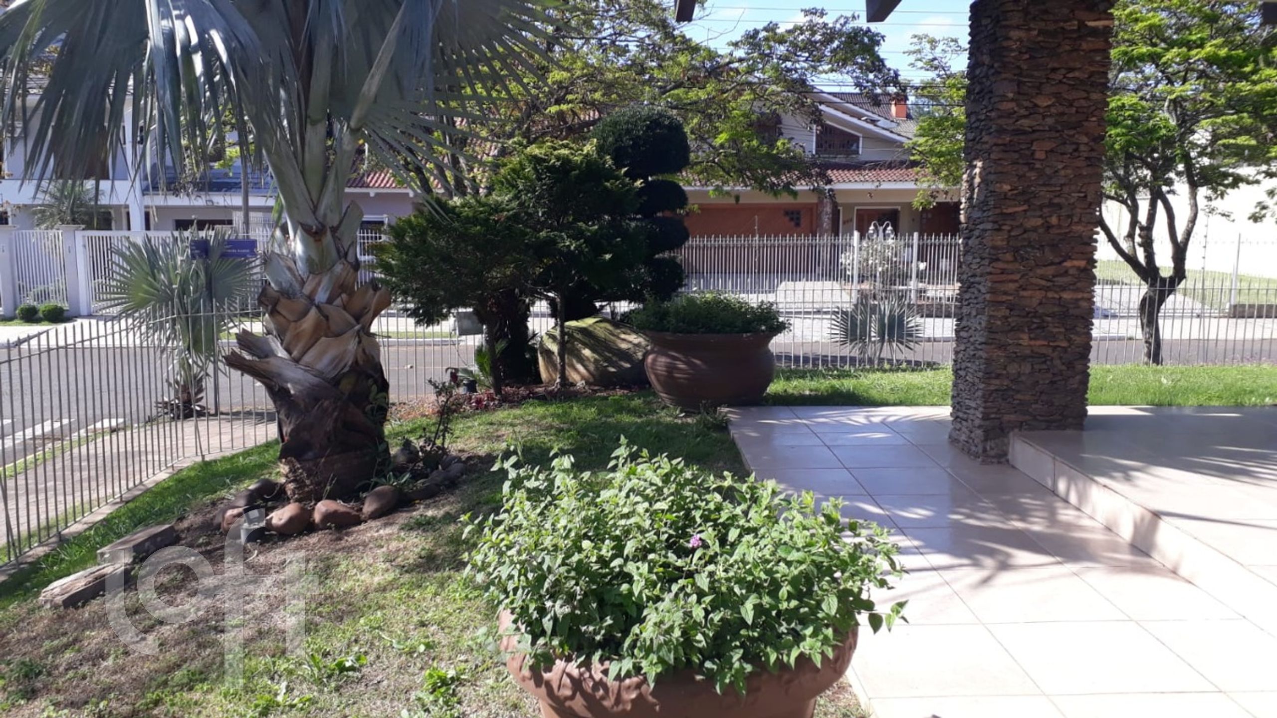 Imagem da propriedade 39