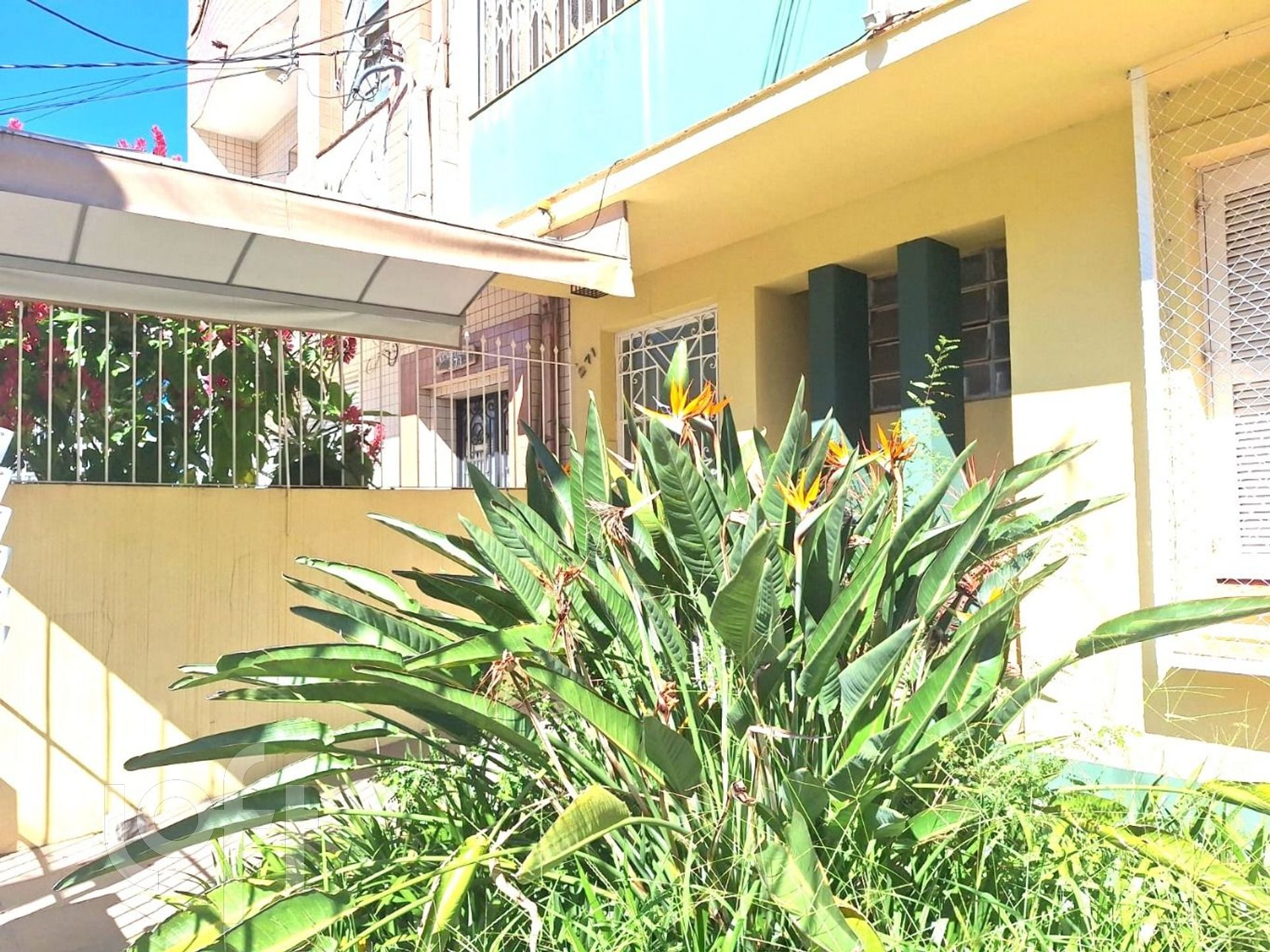 Imagem da propriedade 26