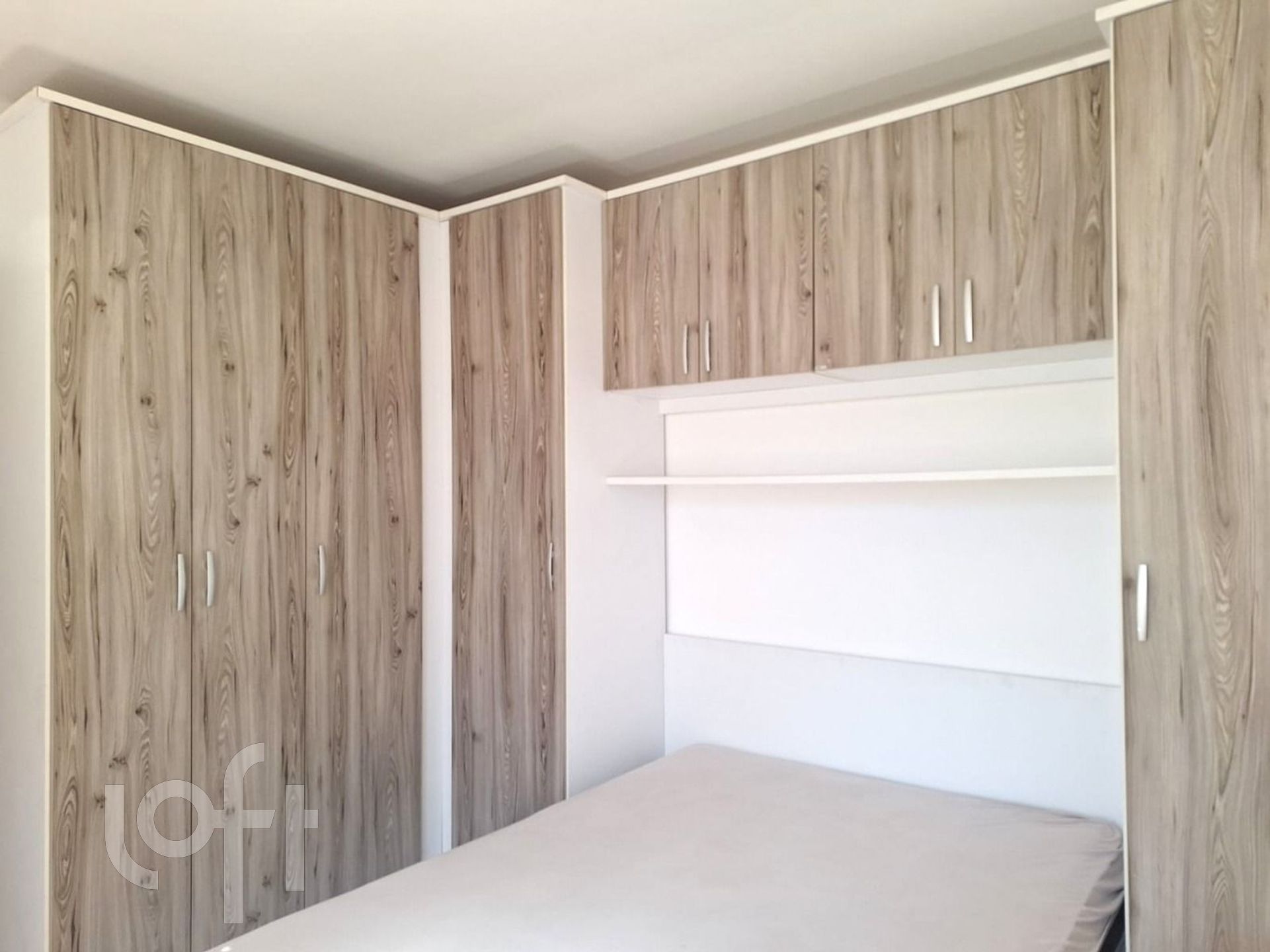 Imagem da propriedade 11