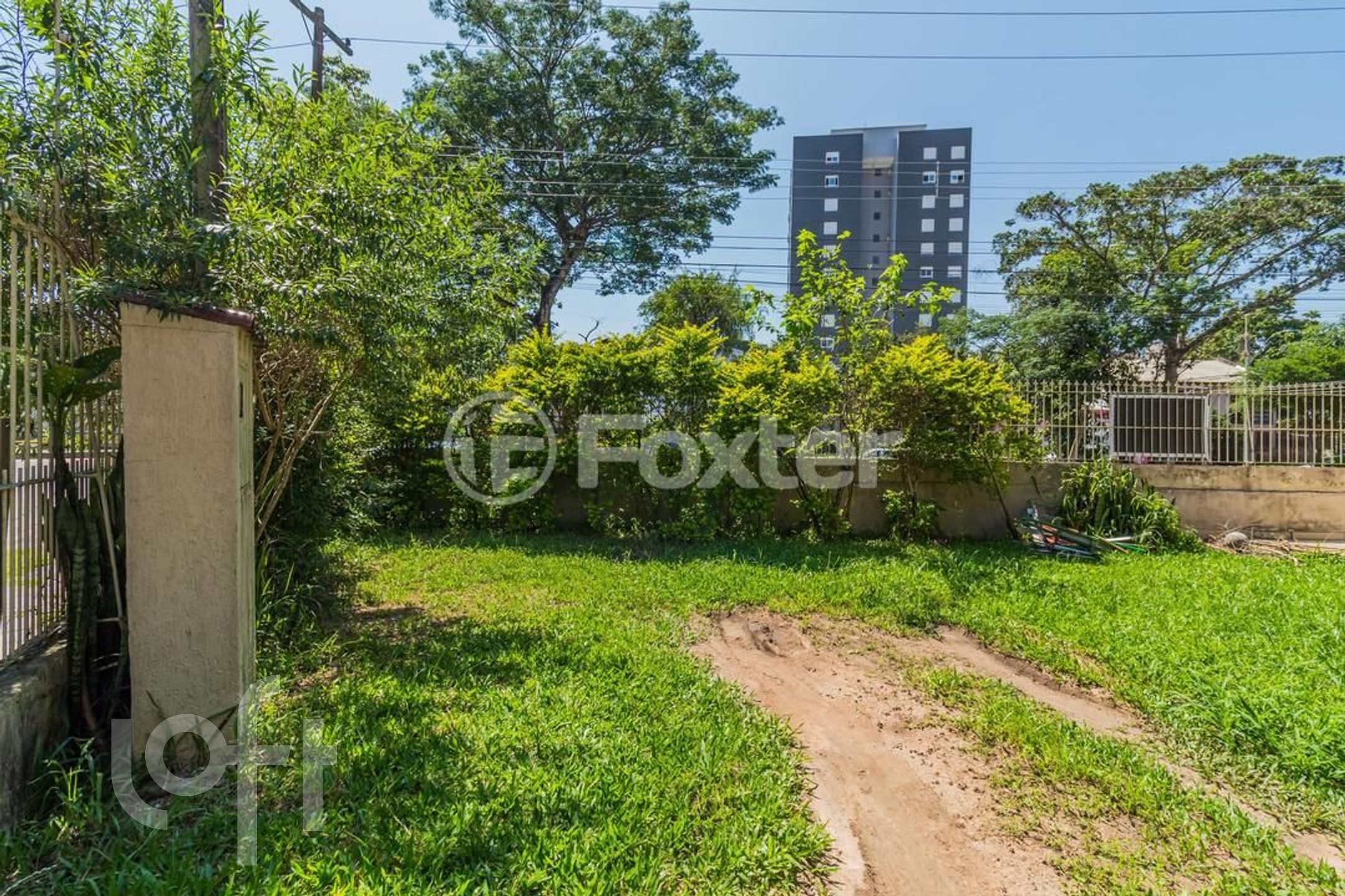 Imagem da propriedade 43