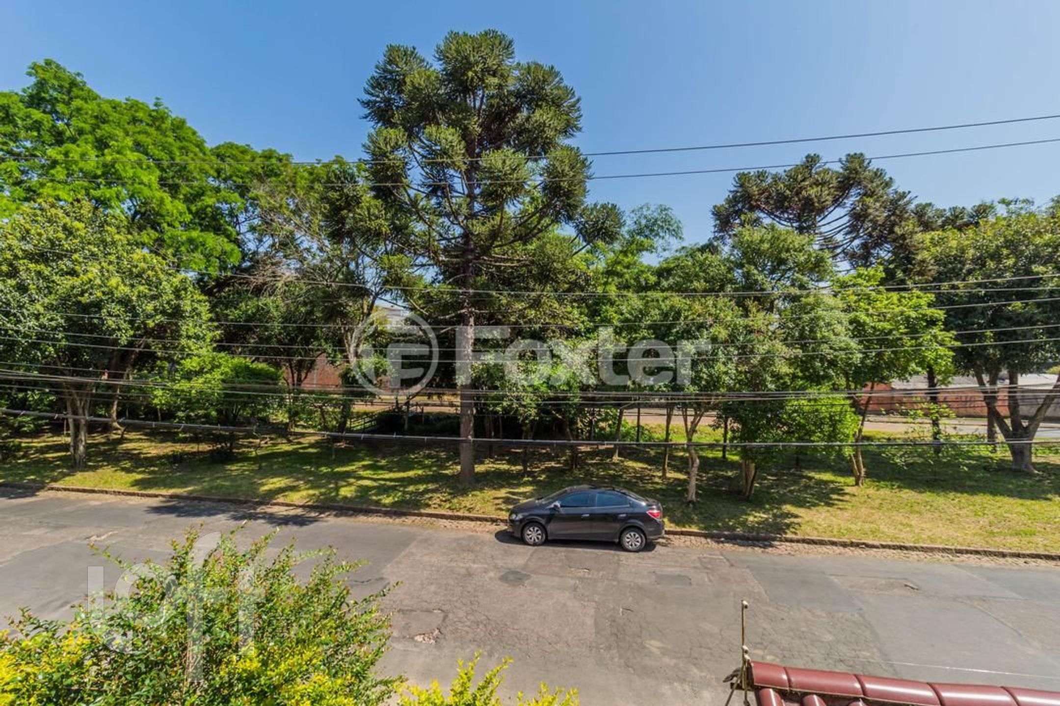 Imagem da propriedade 22