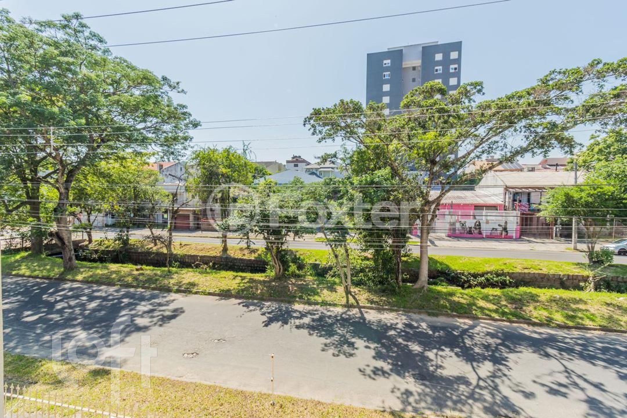 Imagem da propriedade 11