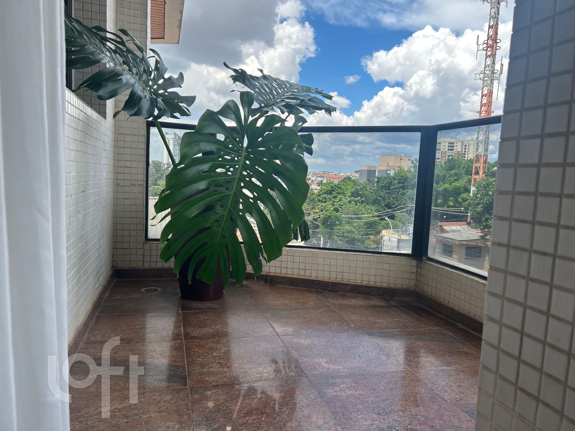 Imagem da propriedade 6