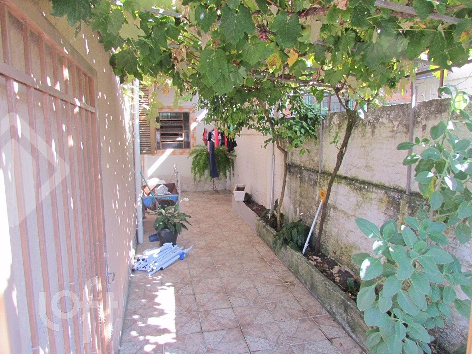 Imagem da propriedade 15