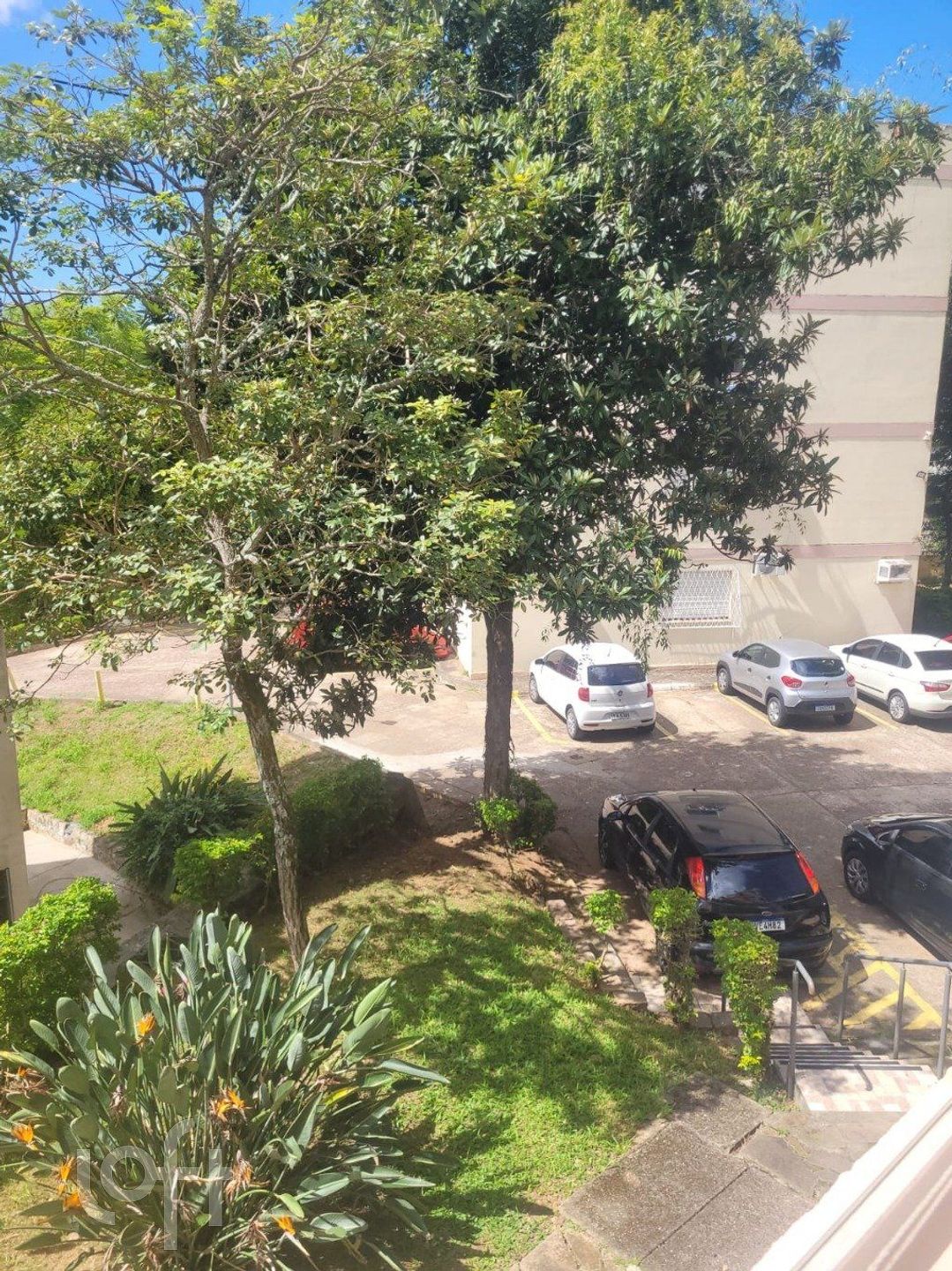 Imagem da propriedade 13