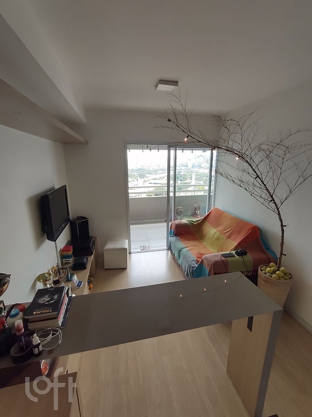 Apartamento à venda com 1 quarto, 47m² - Foto 6