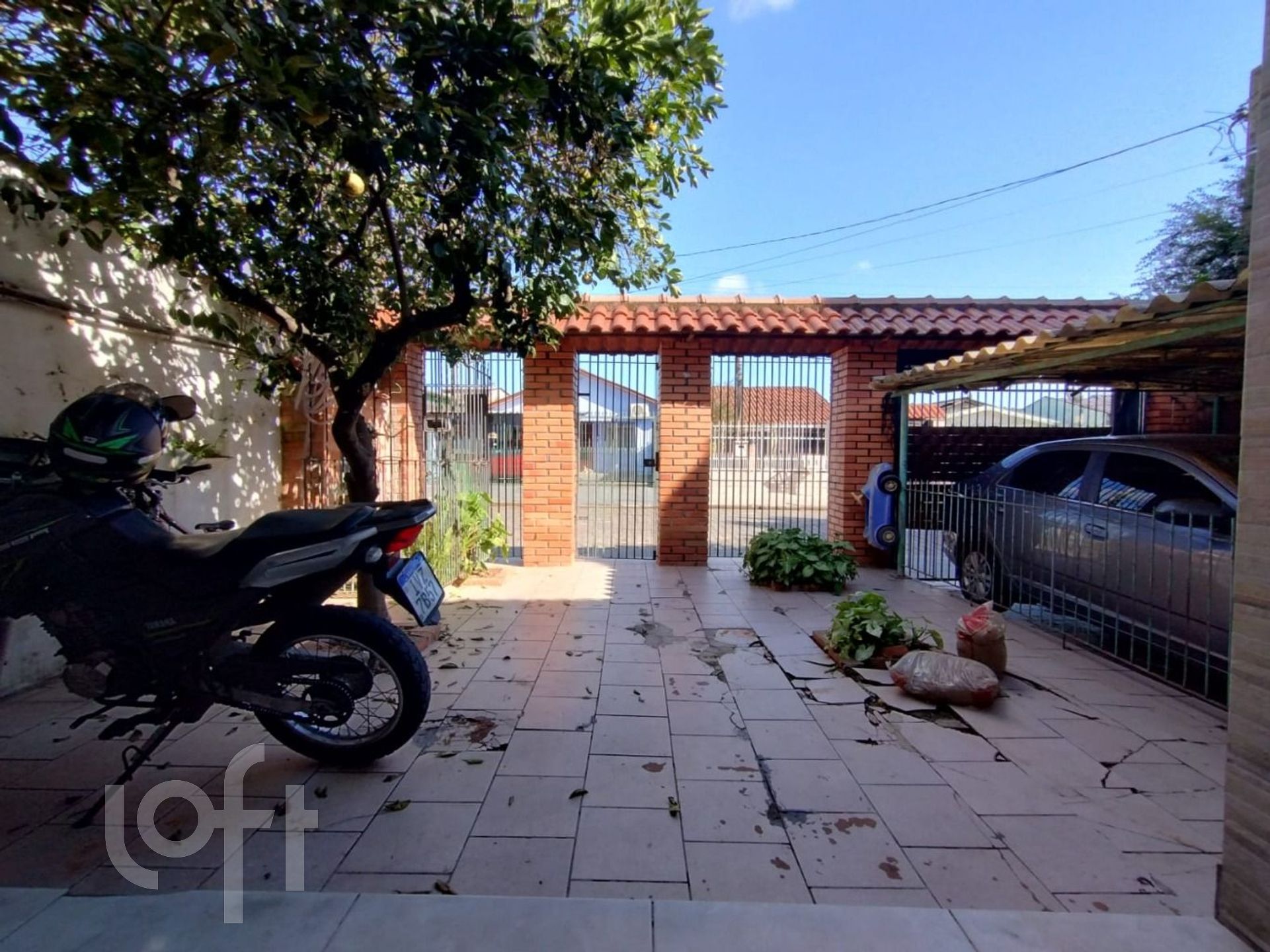 Imagem da propriedade 3