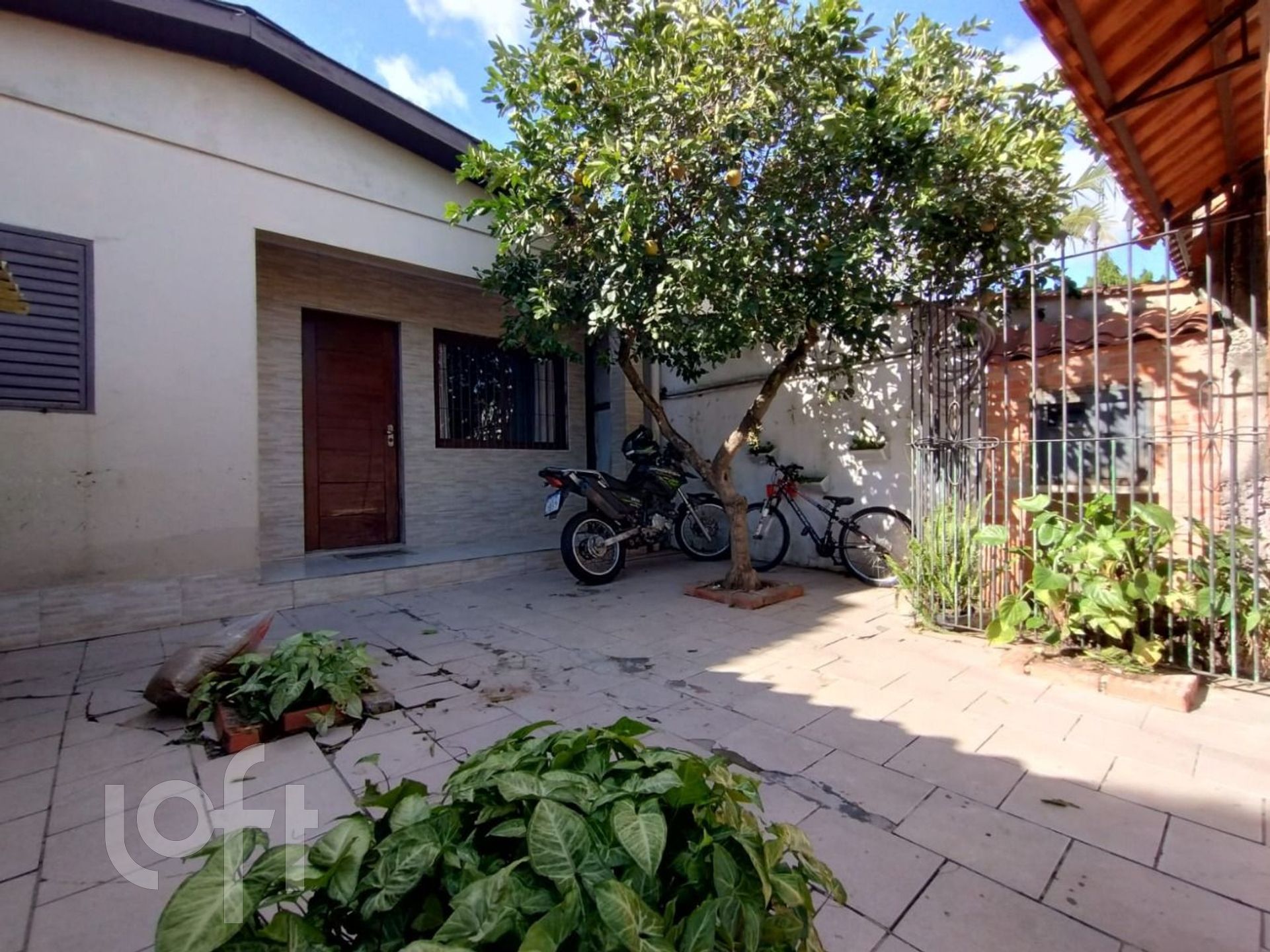 Imagem da propriedade 4