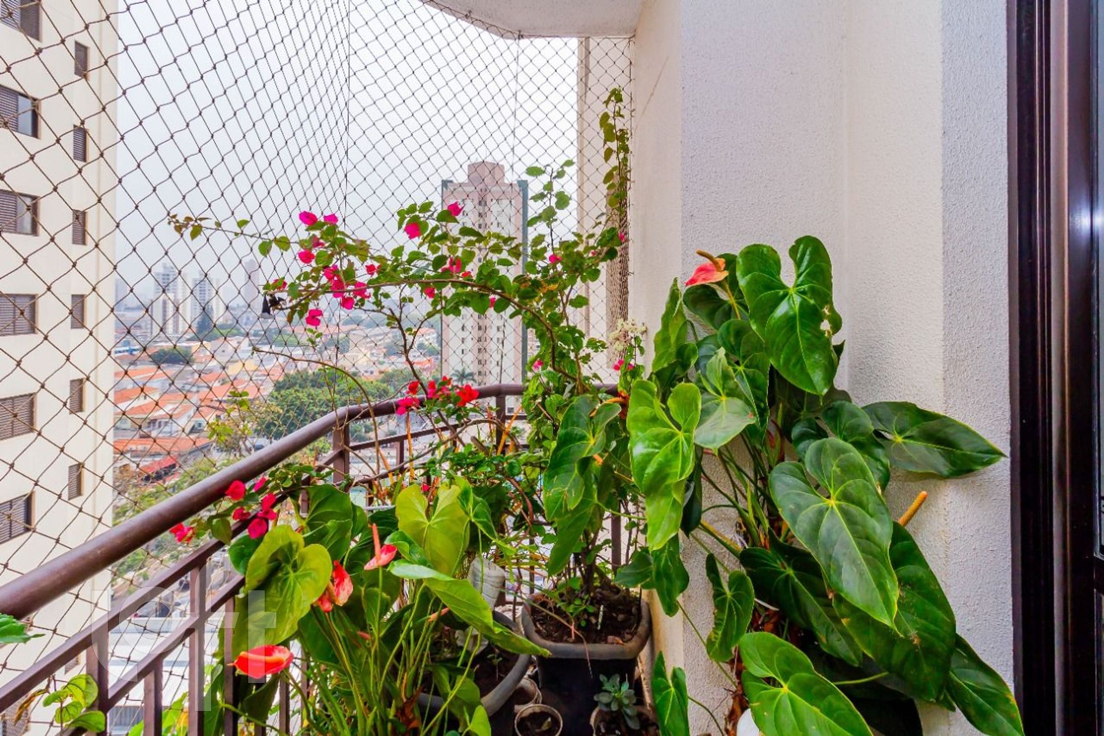 Apartamento, 3 quartos, 78 m² - Foto 6