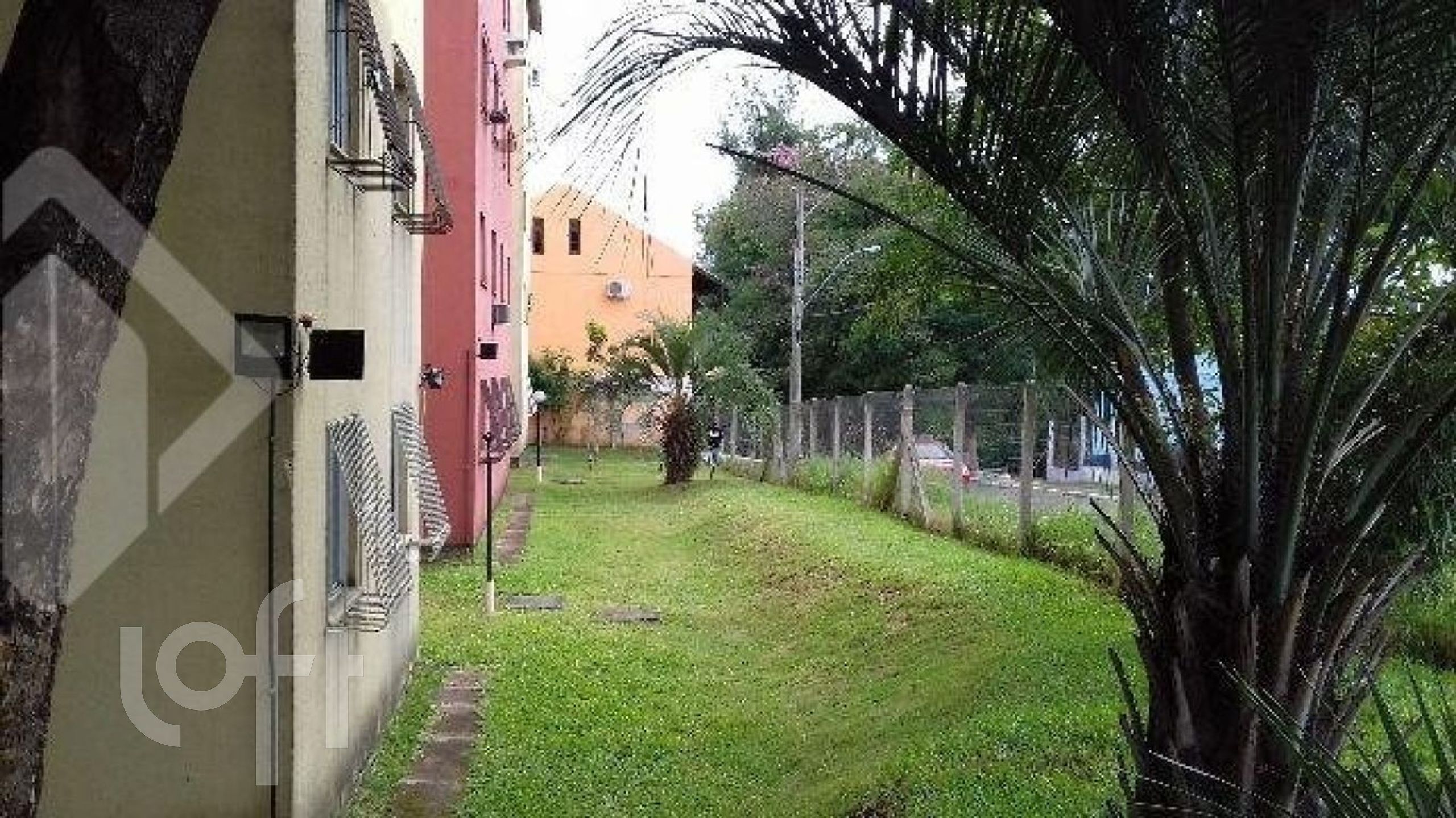 Imagem da propriedade 11