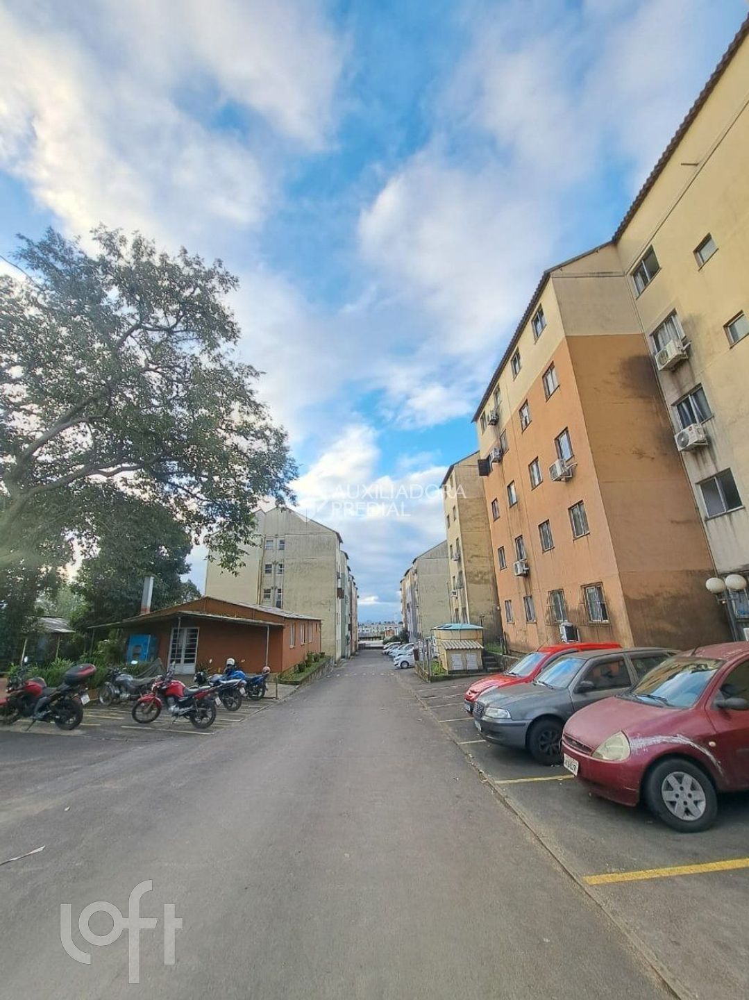 Imagem da propriedade 12