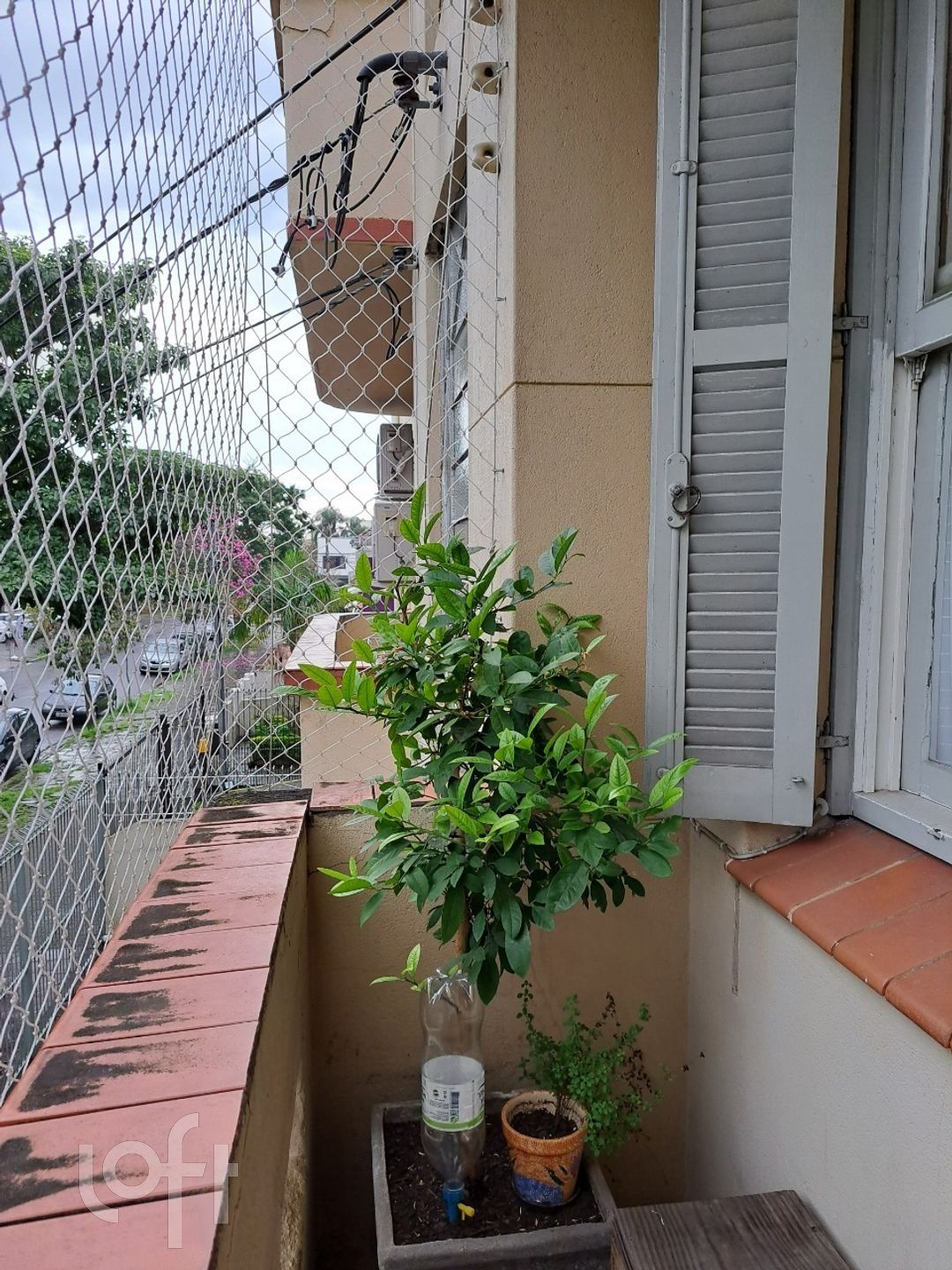 Imagem da propriedade 15