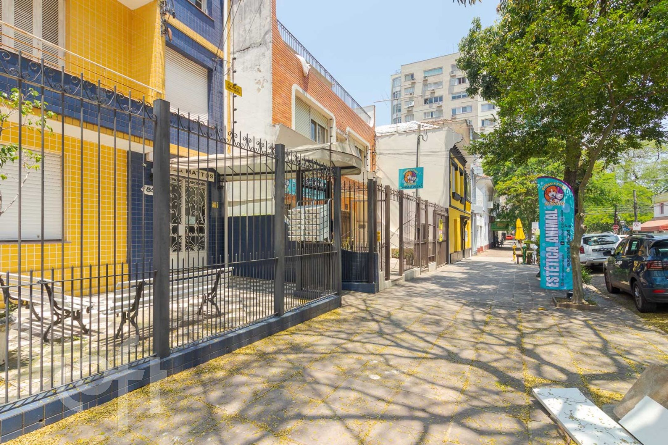 Imagem da propriedade 19