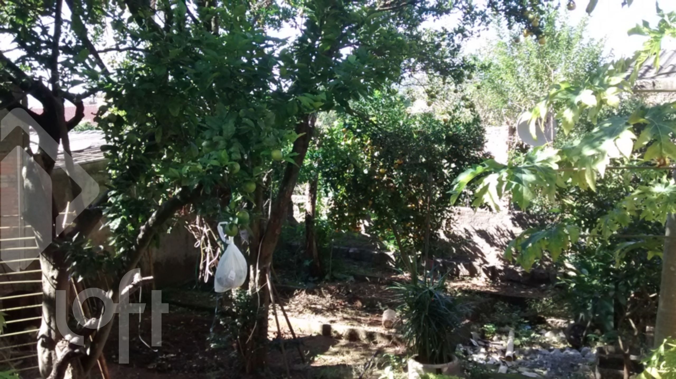 Imagem da propriedade 18