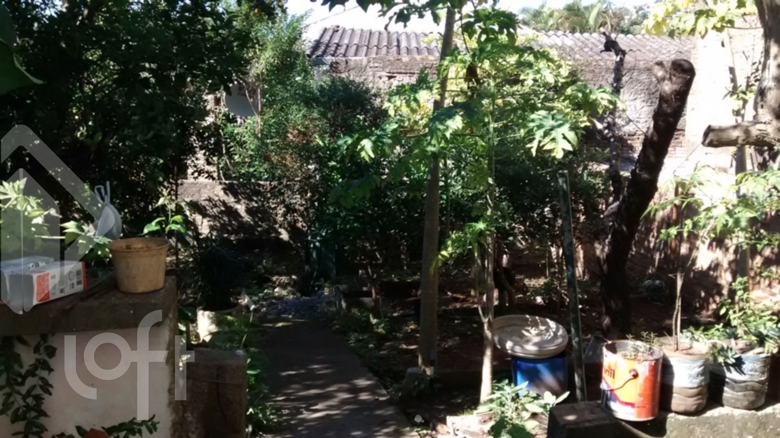 Imagem da propriedade 17